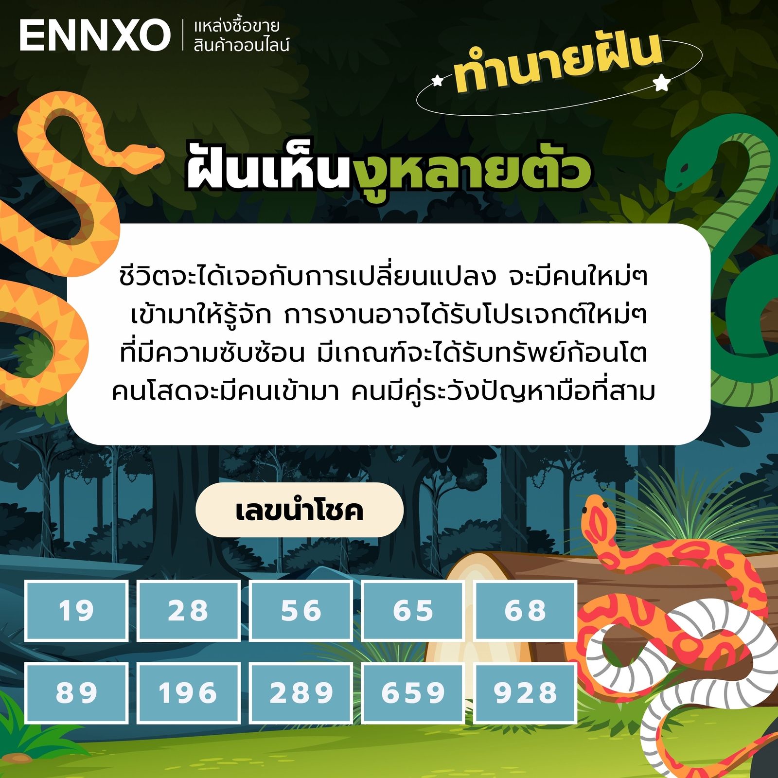 ความหมายฝันเห็นงูหลายตัว เลขเด็ด