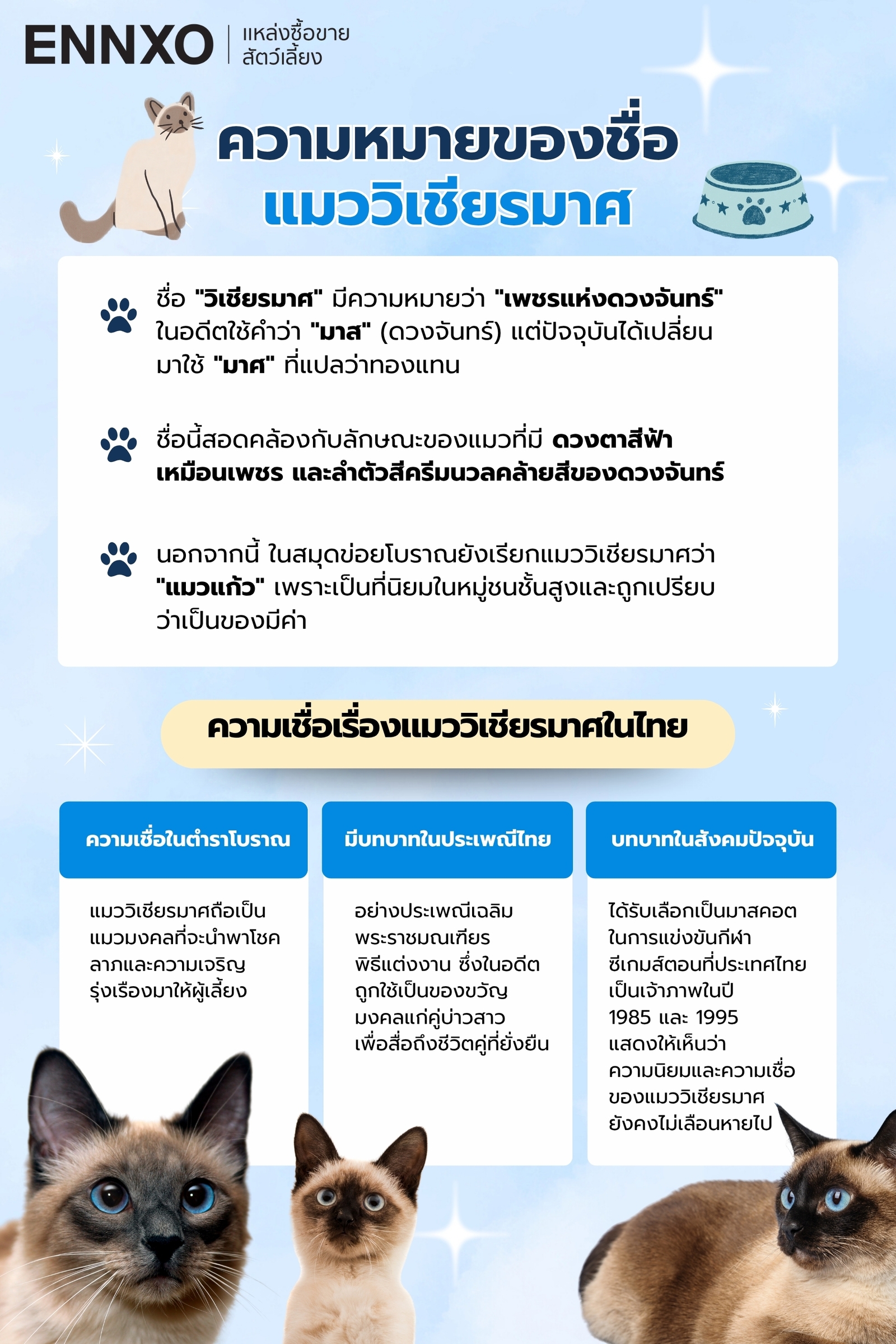 ความหมายชื่อแมววิเชียรมาศและความเชื่อ