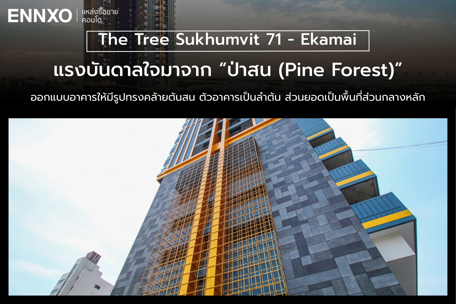 การออกแบบของ The Tree สุขุมวิท 71 - เอกมัย