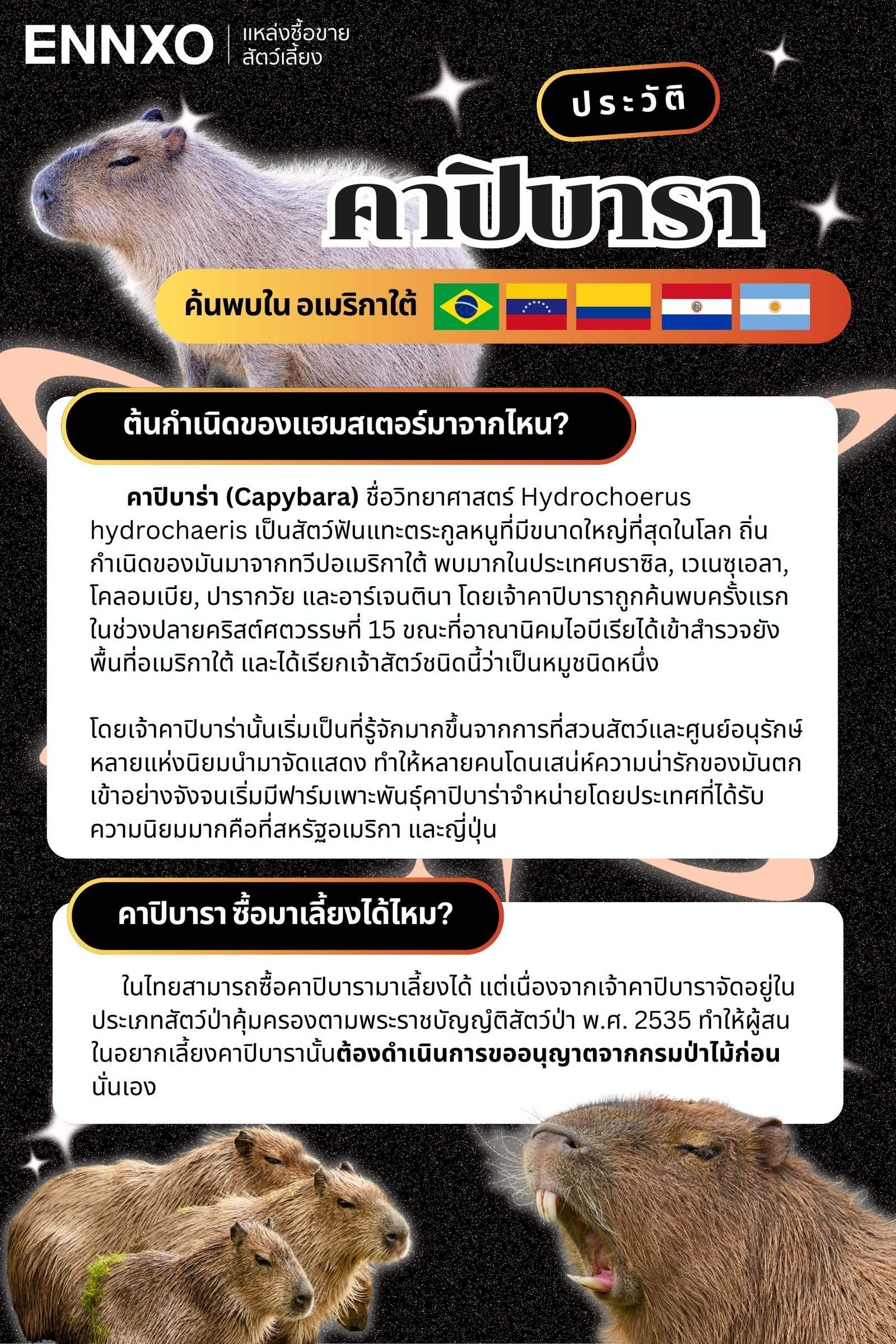 คาปิบารา ประวัติมาจากประเทศอะไร
