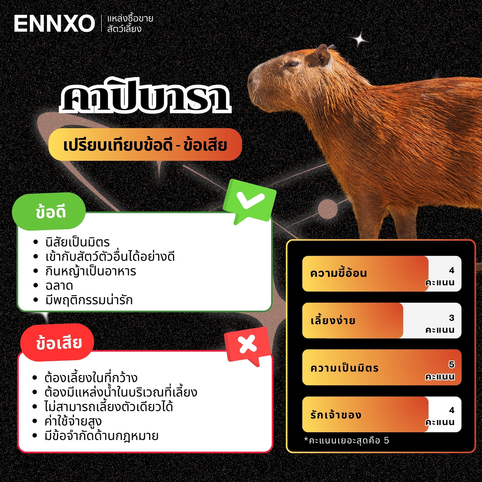 คาปิบาร่า ข้อดี ข้อเสีย