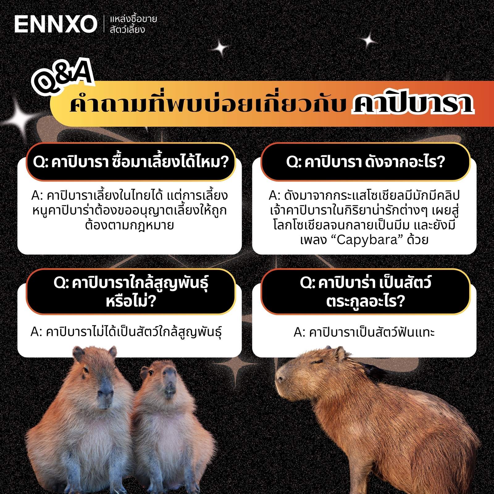 คำถามที่พบบ่อบเกี่ยวกับการเลี้ยงคาปิบาร่า