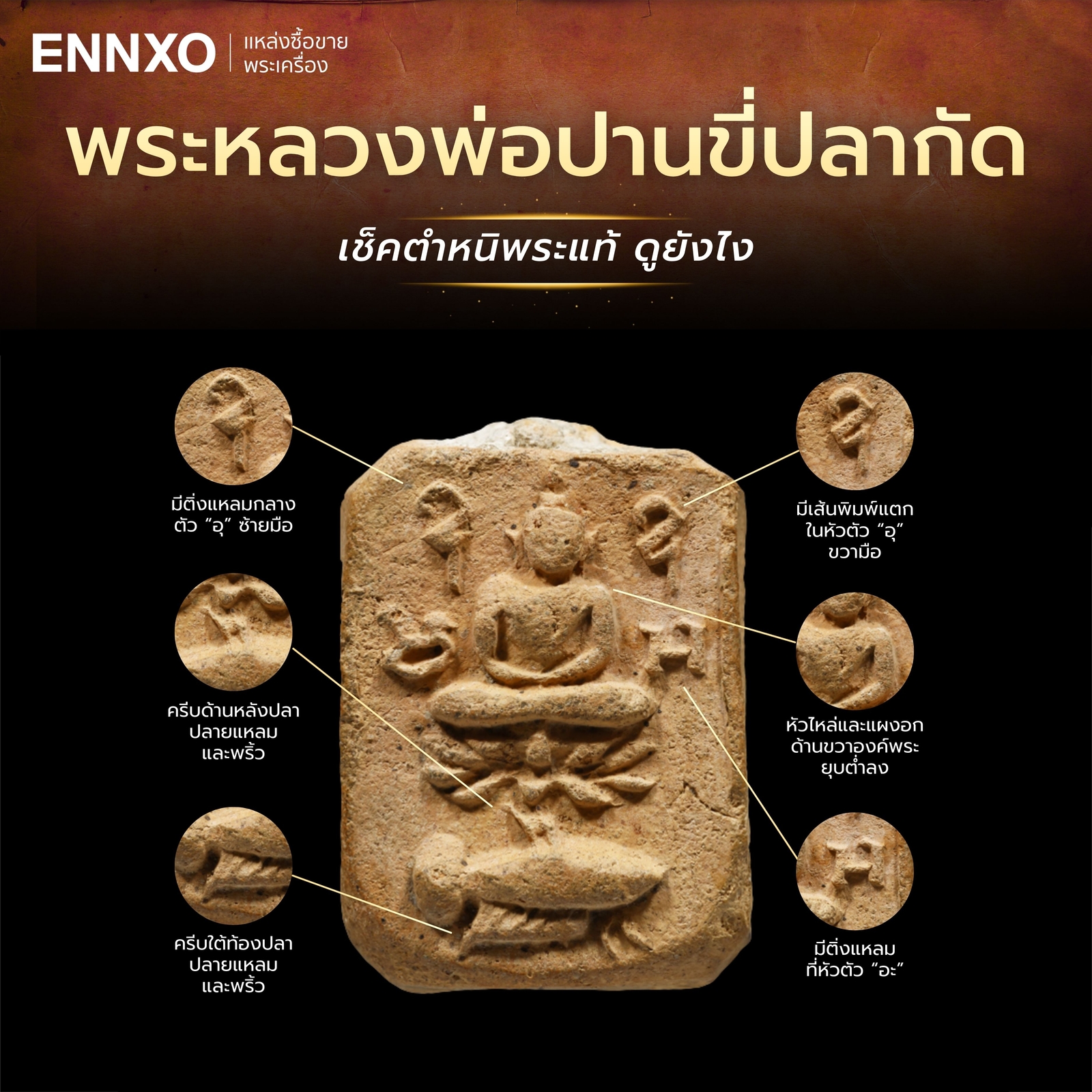 จุดสังเกตตำหนิพระหลวงพ่อปานขี่ปลากัด