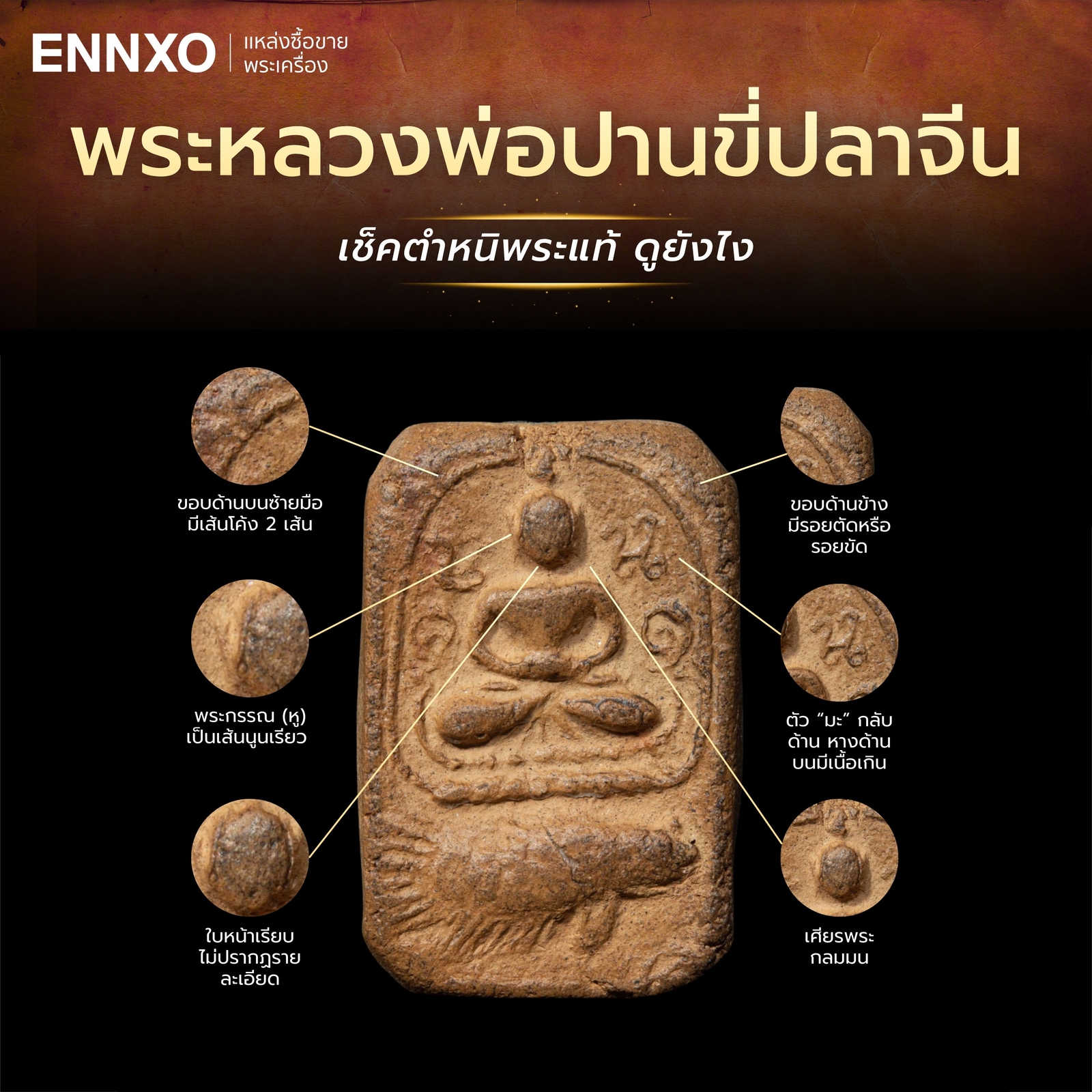 จุดสังเกตตำหนิพระหลวงพ่อปานขี่ปลาจีน