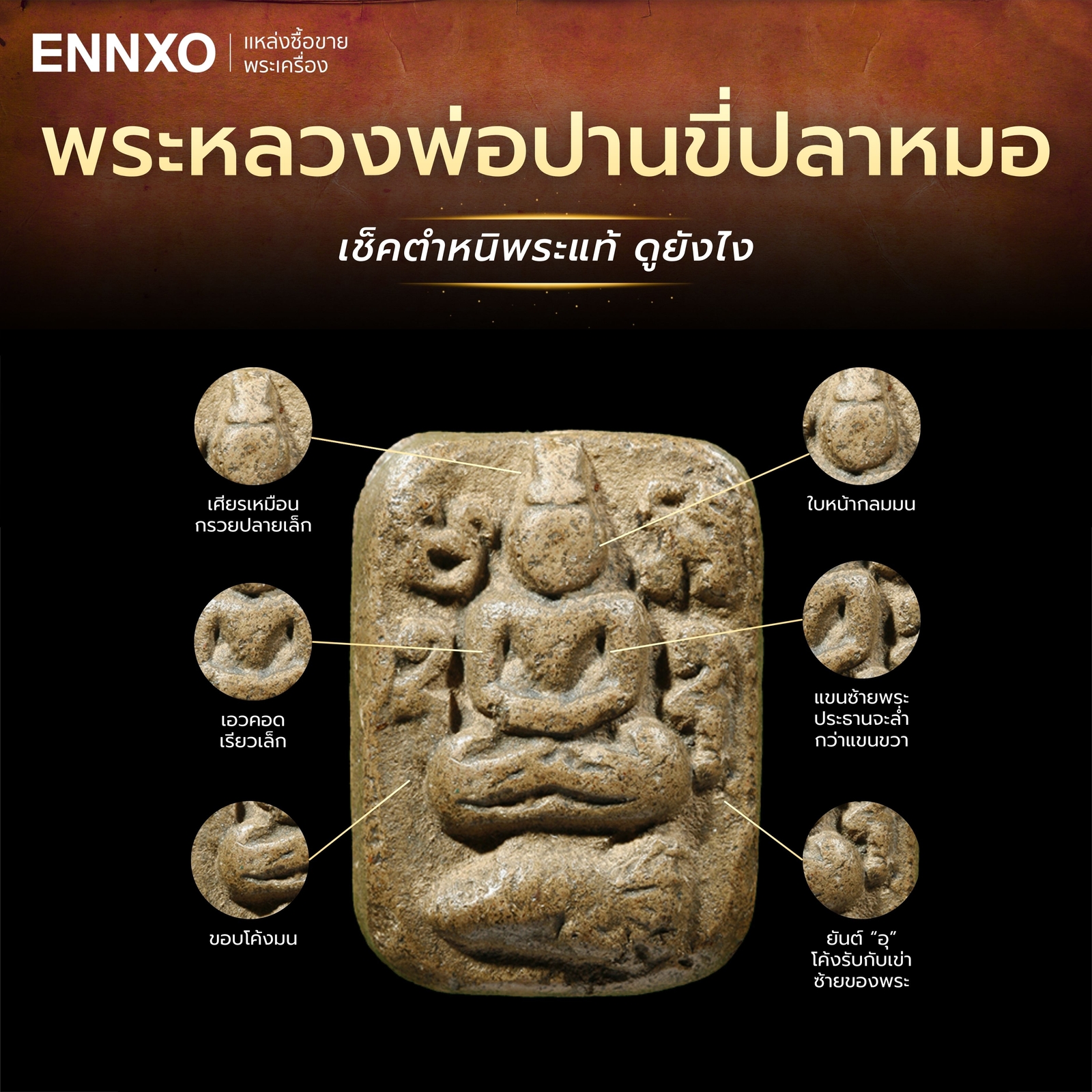 จุดสังเกตตำหนิพระหลวงพ่อปานขี่ปลาหมอ