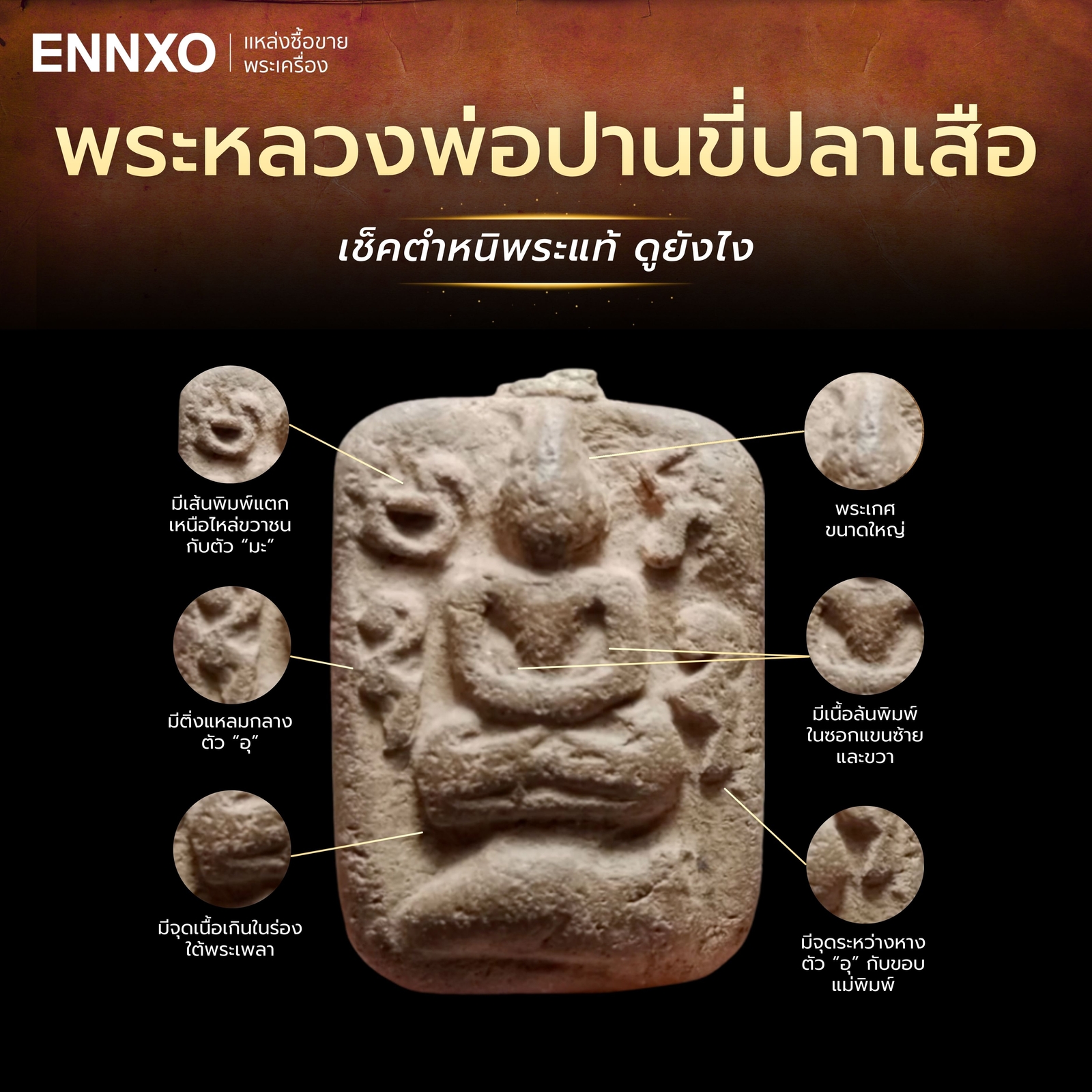 จุดสังเกตตำหนิพระหลวงพ่อปานขี่ปลาเสือ