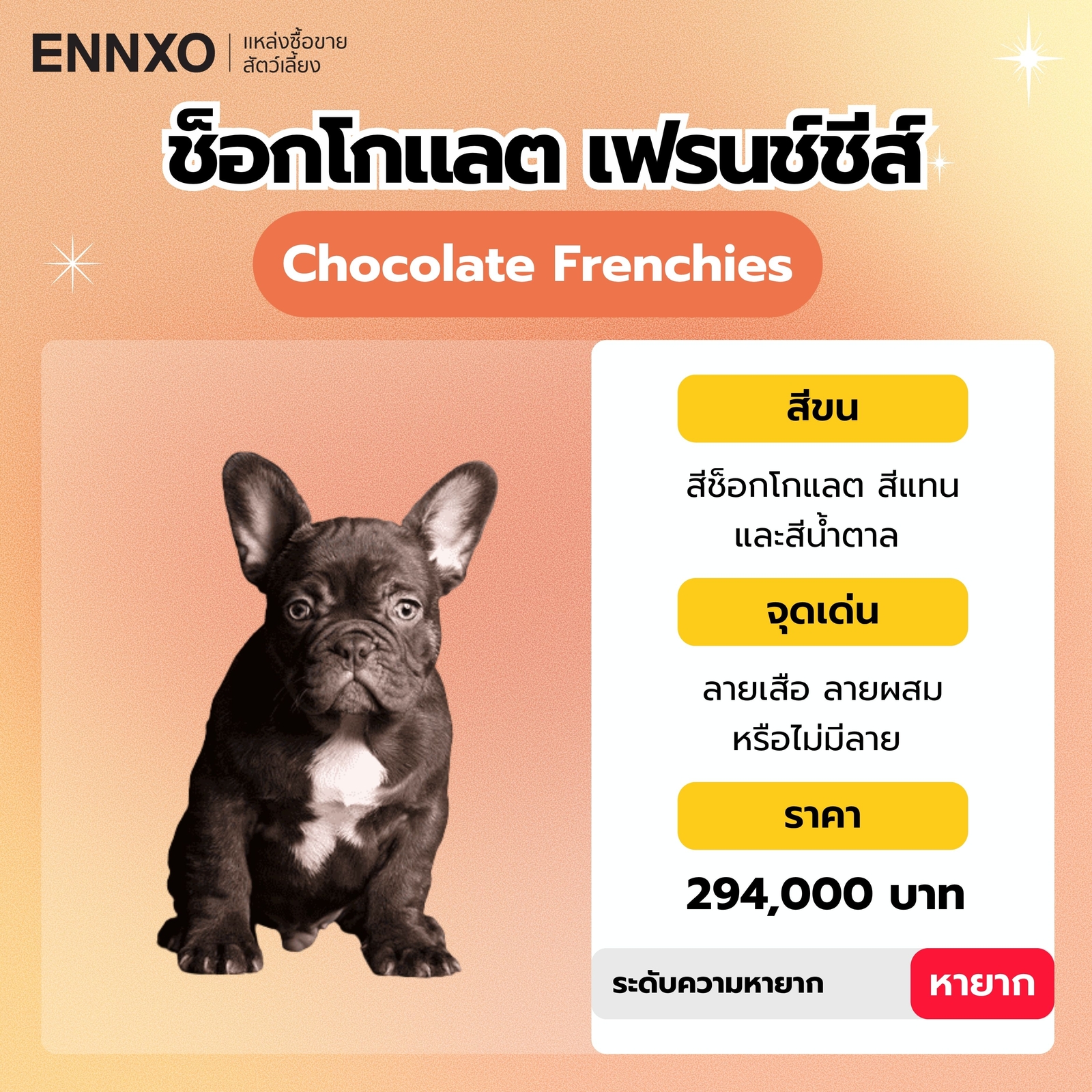 ช็อกโกแลต เฟรนช์ชีส์