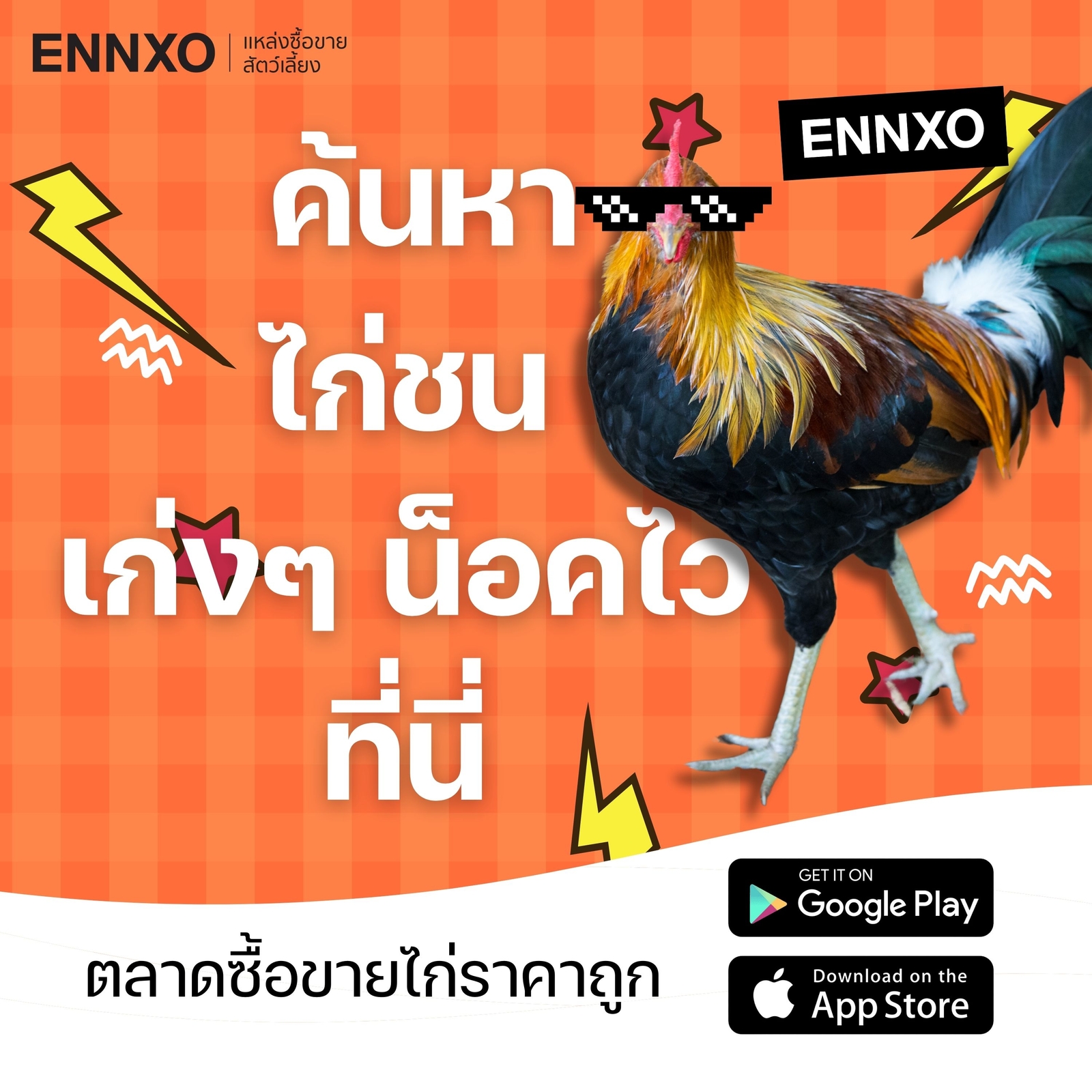 ซื้อขายไก่ชนราคาถูก