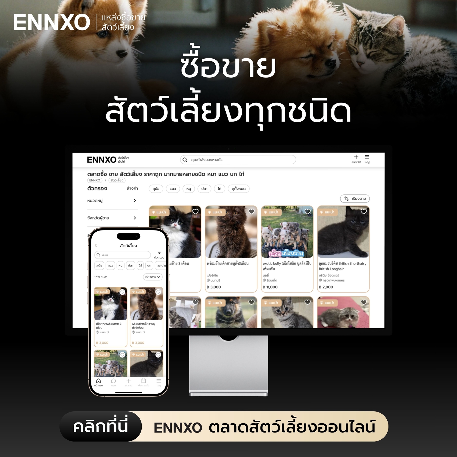 ซื้อขาย-สัตว์เลี้ยงทุกชนิด