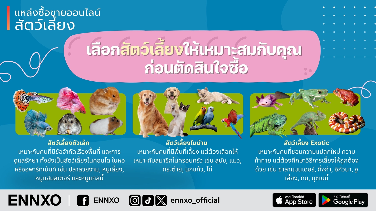 ซื้อขาย สัตว์เลี้ยงราคาหลักร้อย