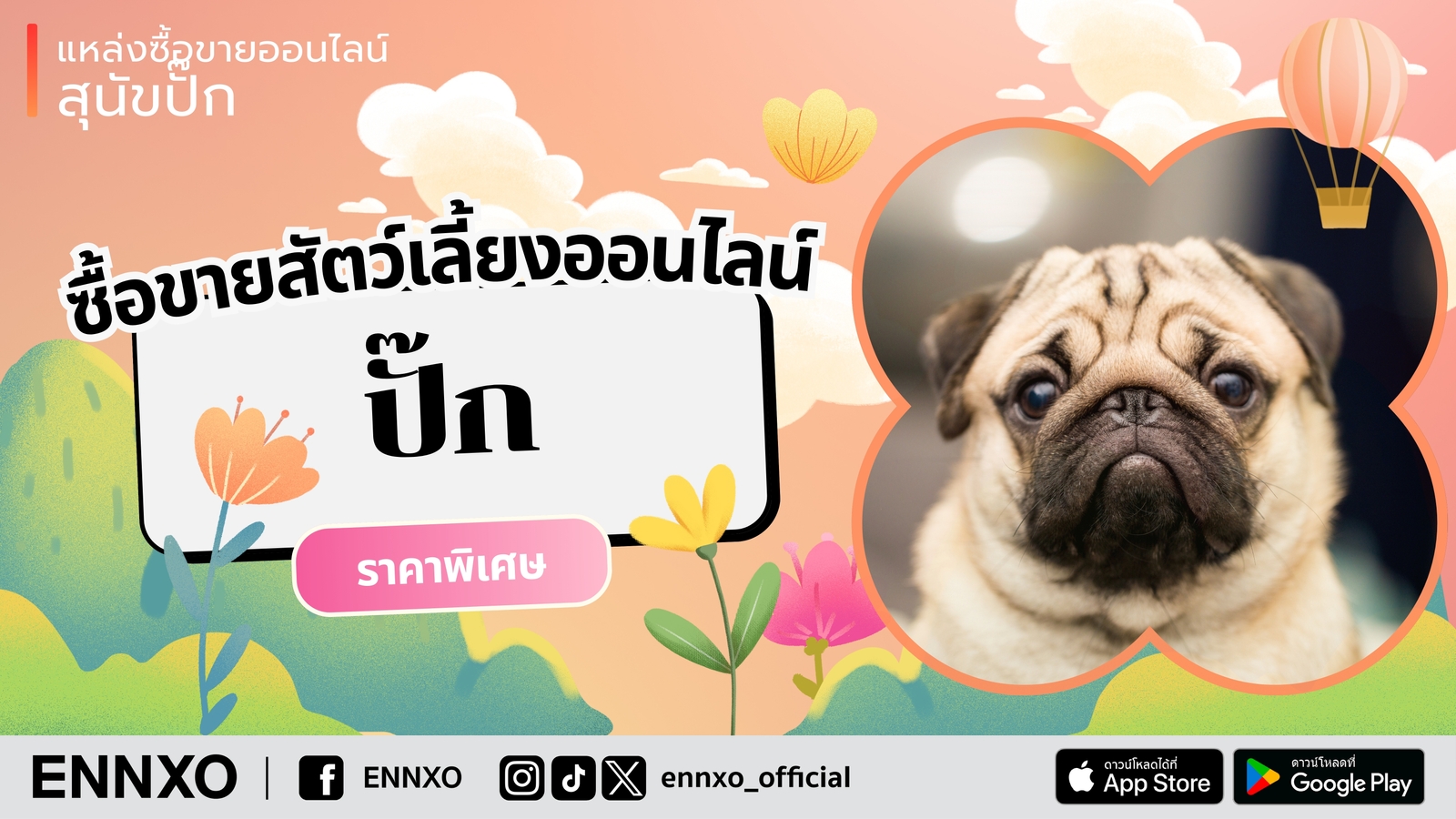 ENNXO ตลาดซื้อขายสุนัขออนไลน์