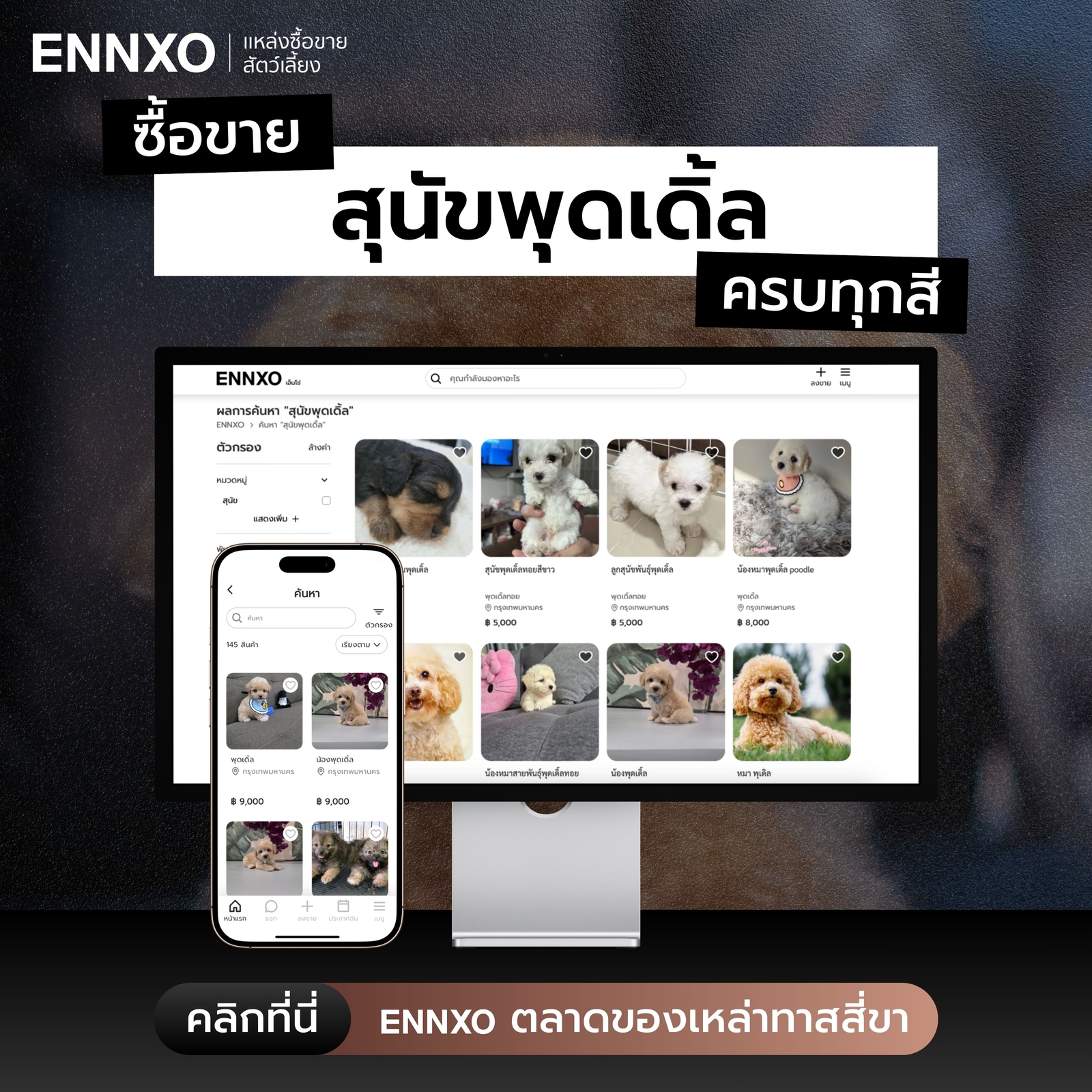 ซื้อขาย-สุนัขพุดเดิ้ล