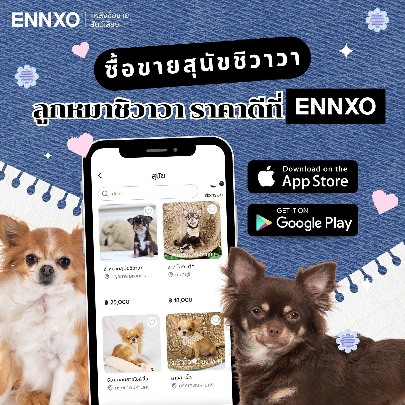 ENNXO ตลาดซื้อขายชิวาวาออนไลน์