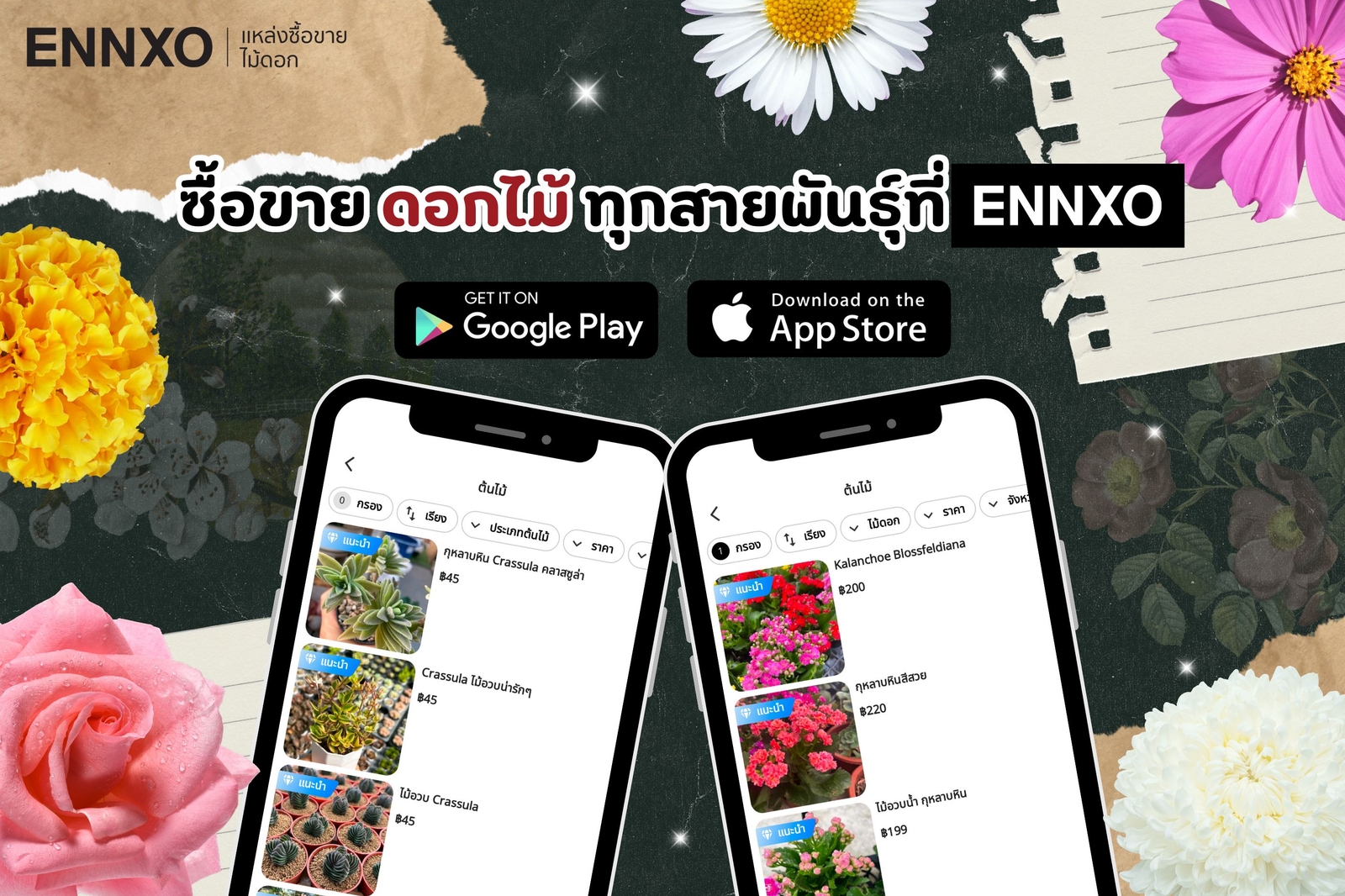 ENNXO ตลาดซื้อขายดอกไม้ ต้นไม้ออนไลน์