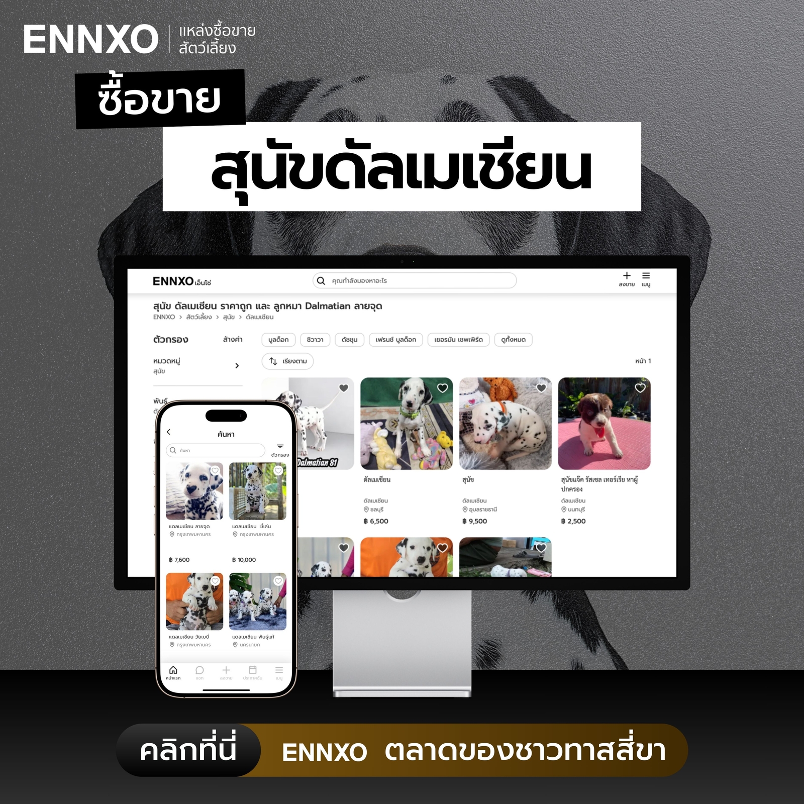 ซื้อขายสุนัขดัลเมเชียน ราคาถูกที่ ENNXO