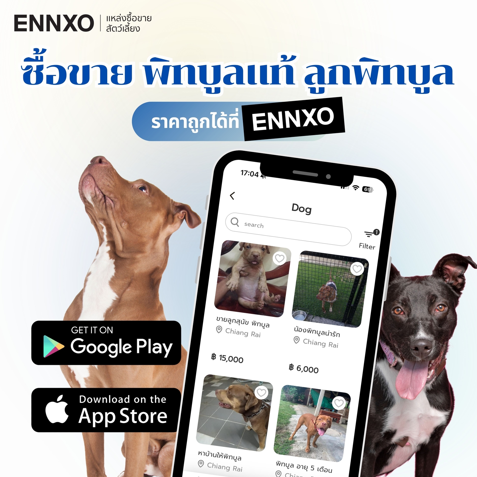 ENNXO ตลาดซื้อขายพิทบูล ราคาถูก