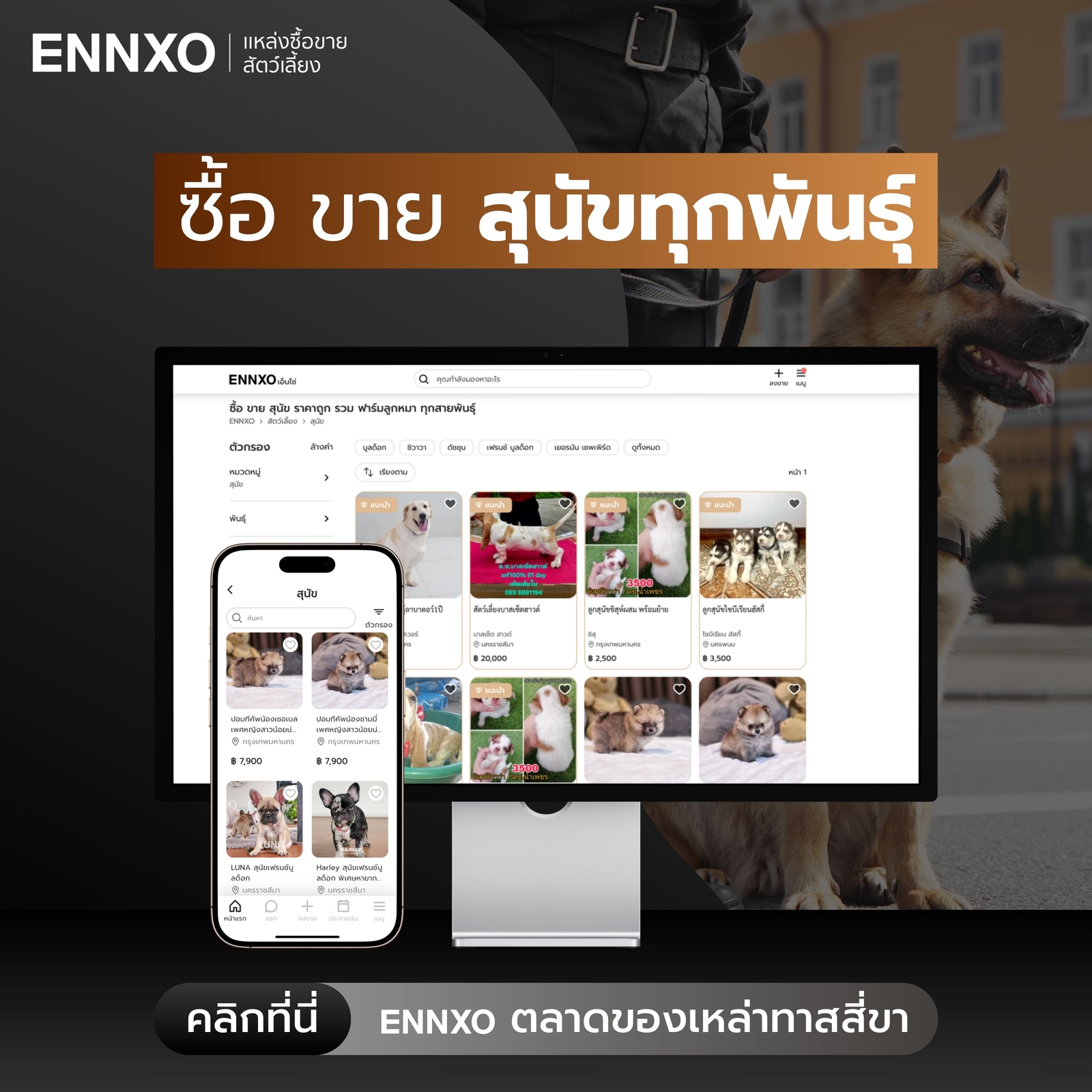 ซื้อขายสุนัข ทุกสายพันธุ์ สุนัขตำรวจ ที่ ENNXO