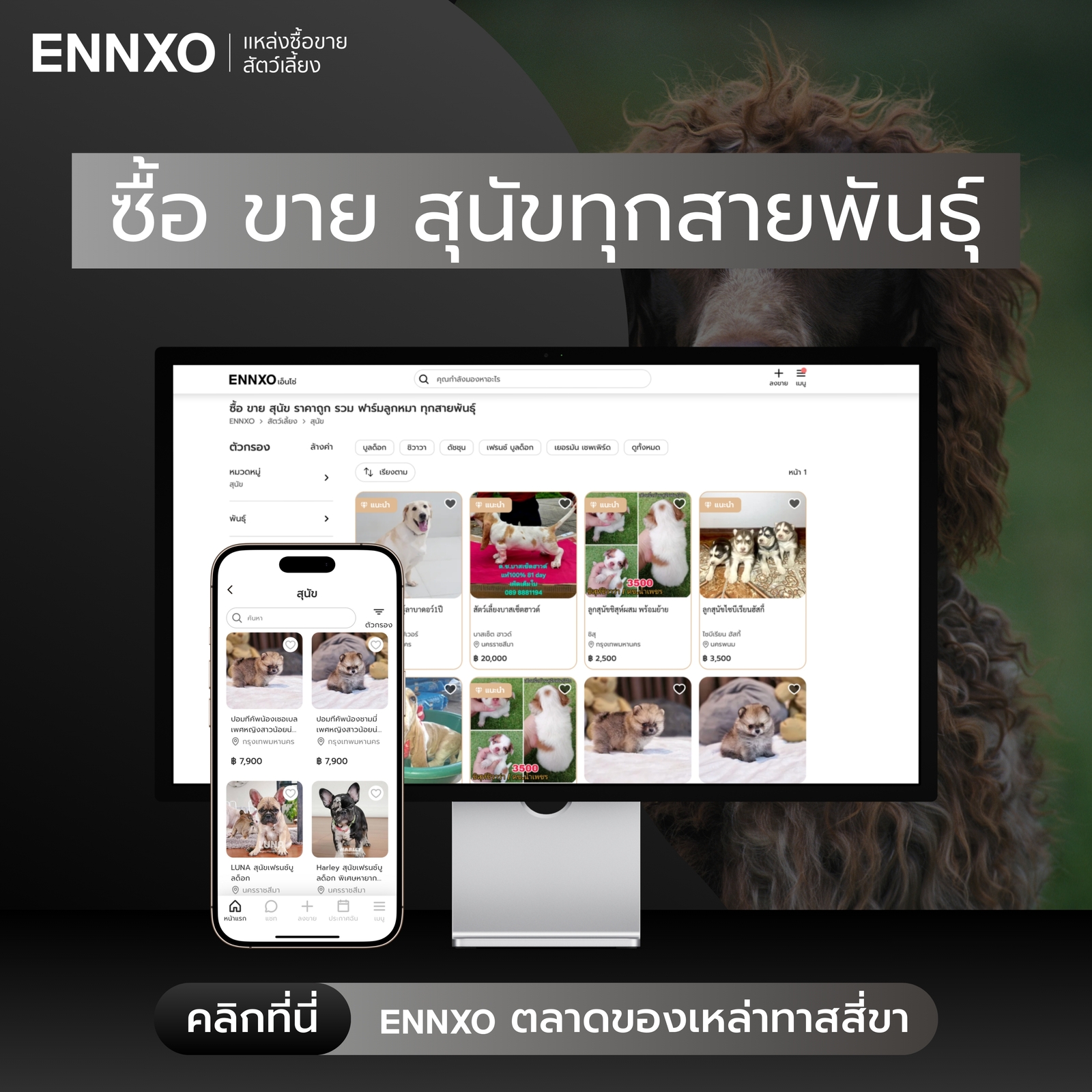 ENNXO ตลาดซื้อขายสุนัขทุกสายพันธุ์