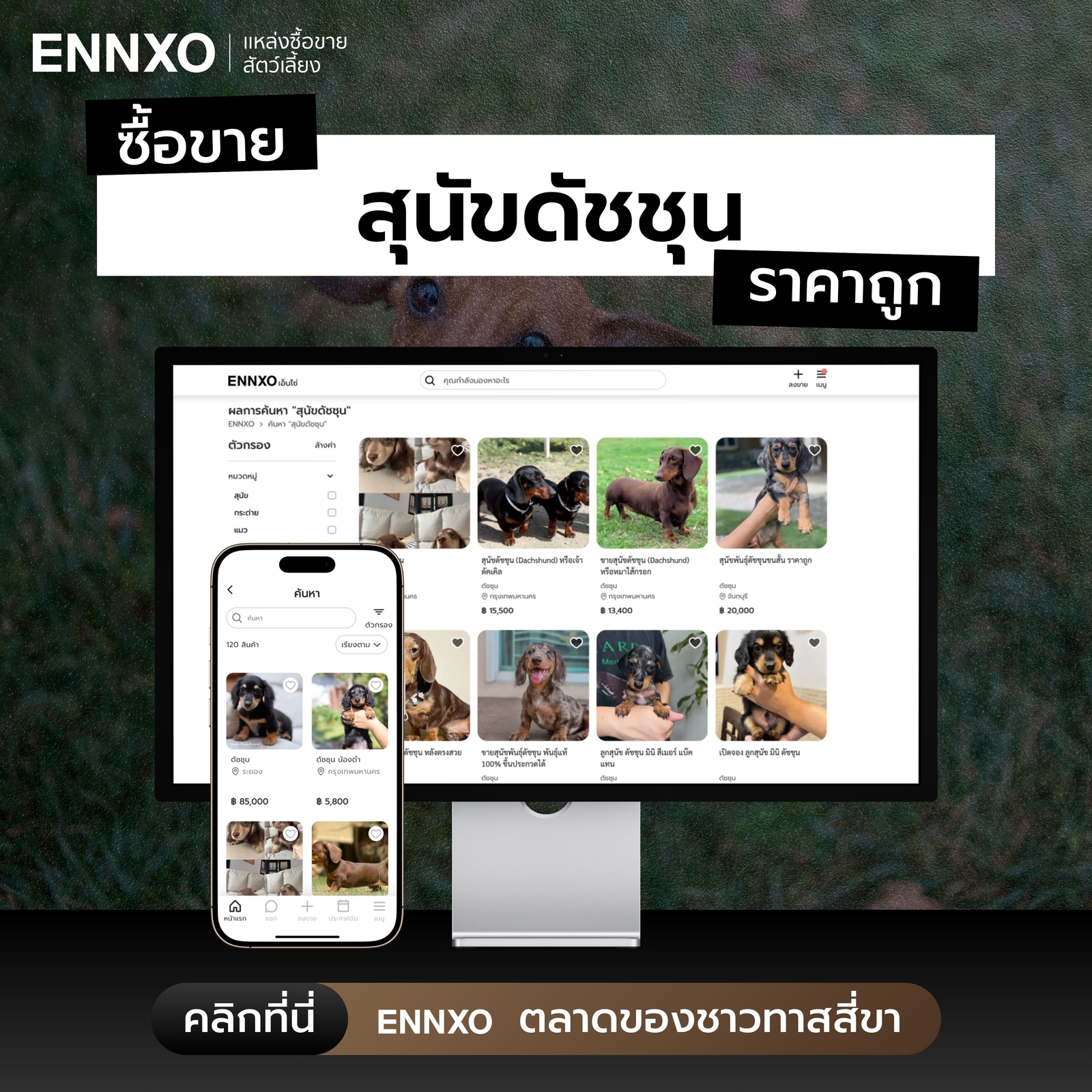ซื้อขายดัชชุน ราคาถูกที่ ENNXO