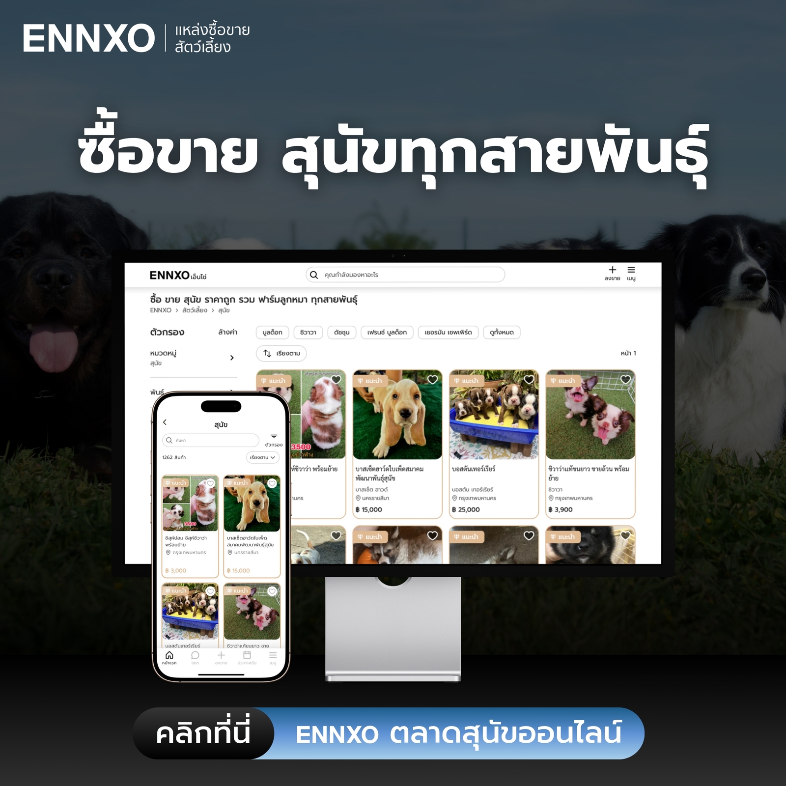 ซื้อขายสุนัข ลูกสุนัข ราคาดีที่ ENNXO