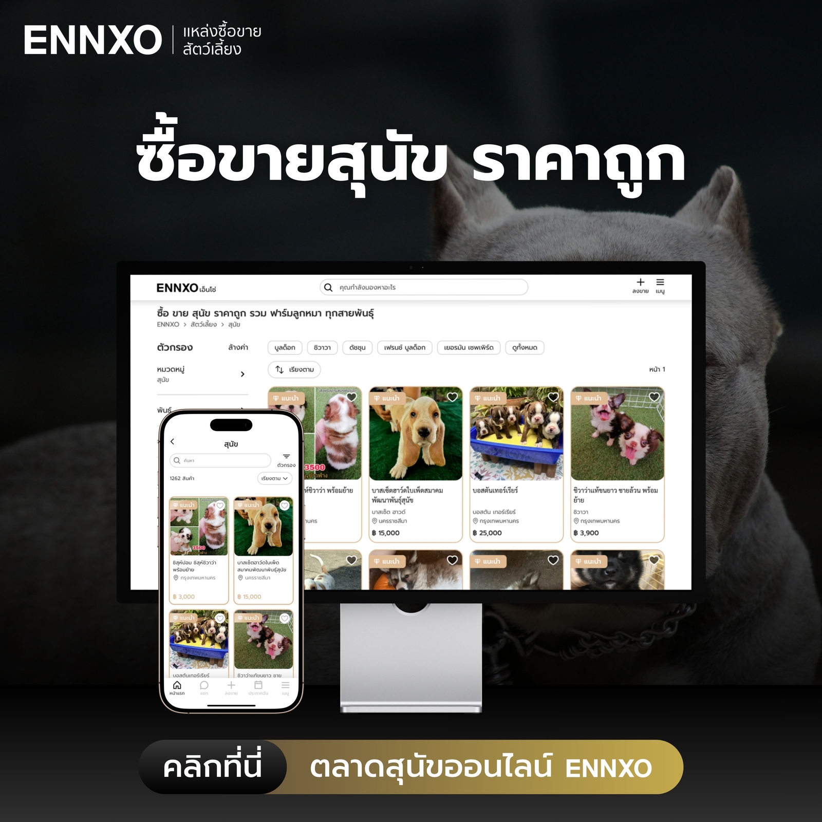 ซื้อขายสุนัขทุกสายพันธุ์ ราคาถูกที่ ENNXO