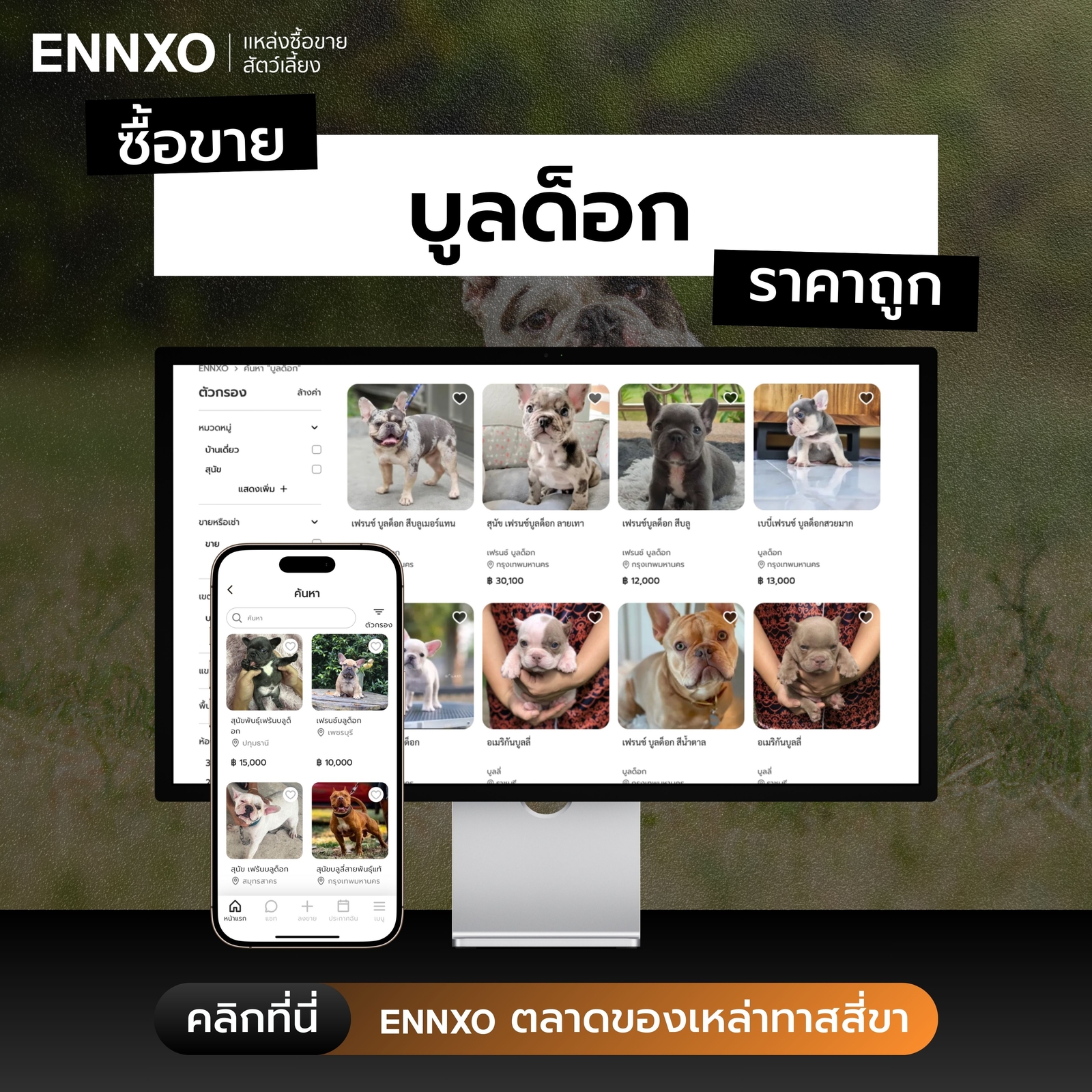 ซื้อขายสุนัขบูลด็อก ทุกสายพันธุ์ ราคาถูกที่ ENNXO