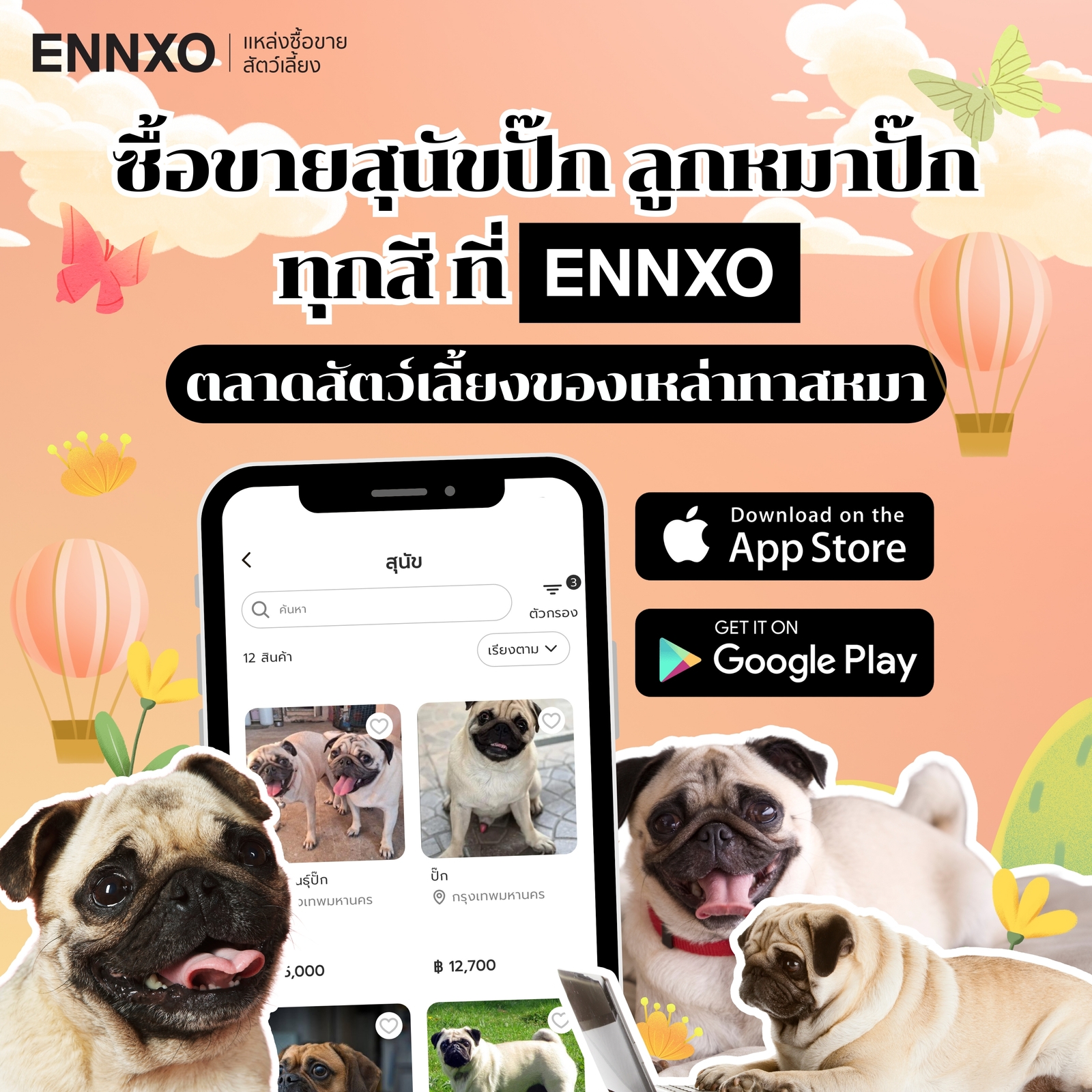 ENNXO ตลาดซื้อขายสุนัขทุกพันธุ์