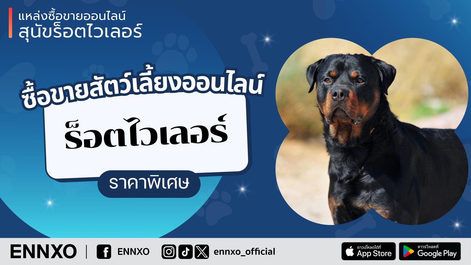 ENNXO ตลาดสัตว์เลี้ยงออนไลน์