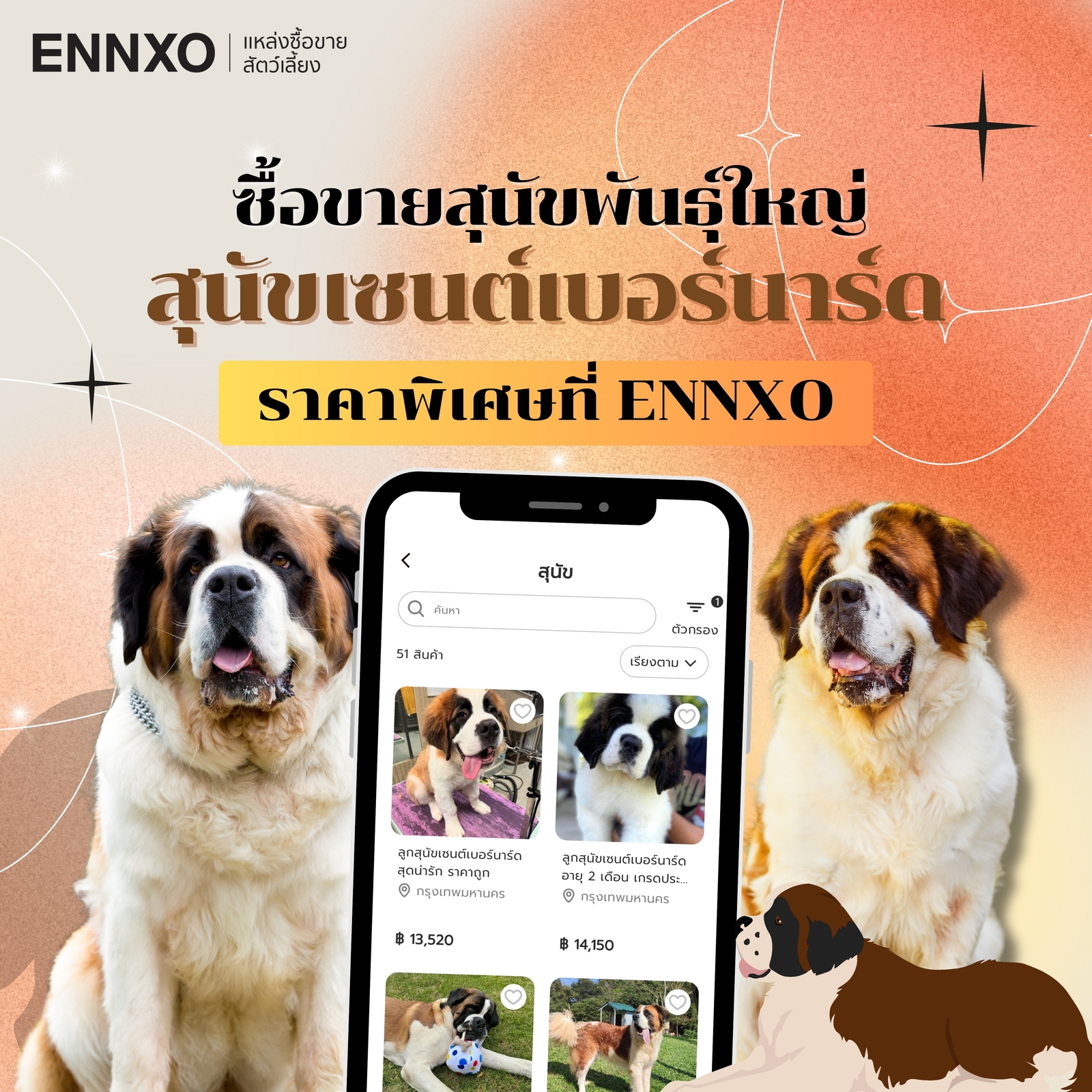 ENNXO ตลาดซื้อขายสุนัขเซนต์เบอร์นาร์ด