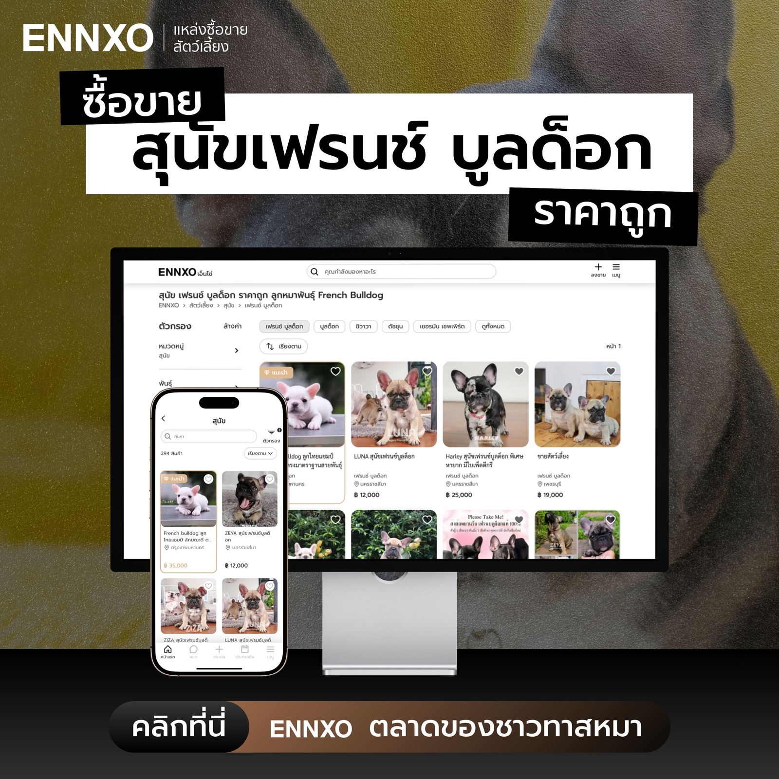 ซื้อขายสุนัขเฟรนช์ บูลด็อก ราคาถูก ทุกสายพันธุ์ที่ ENNXO