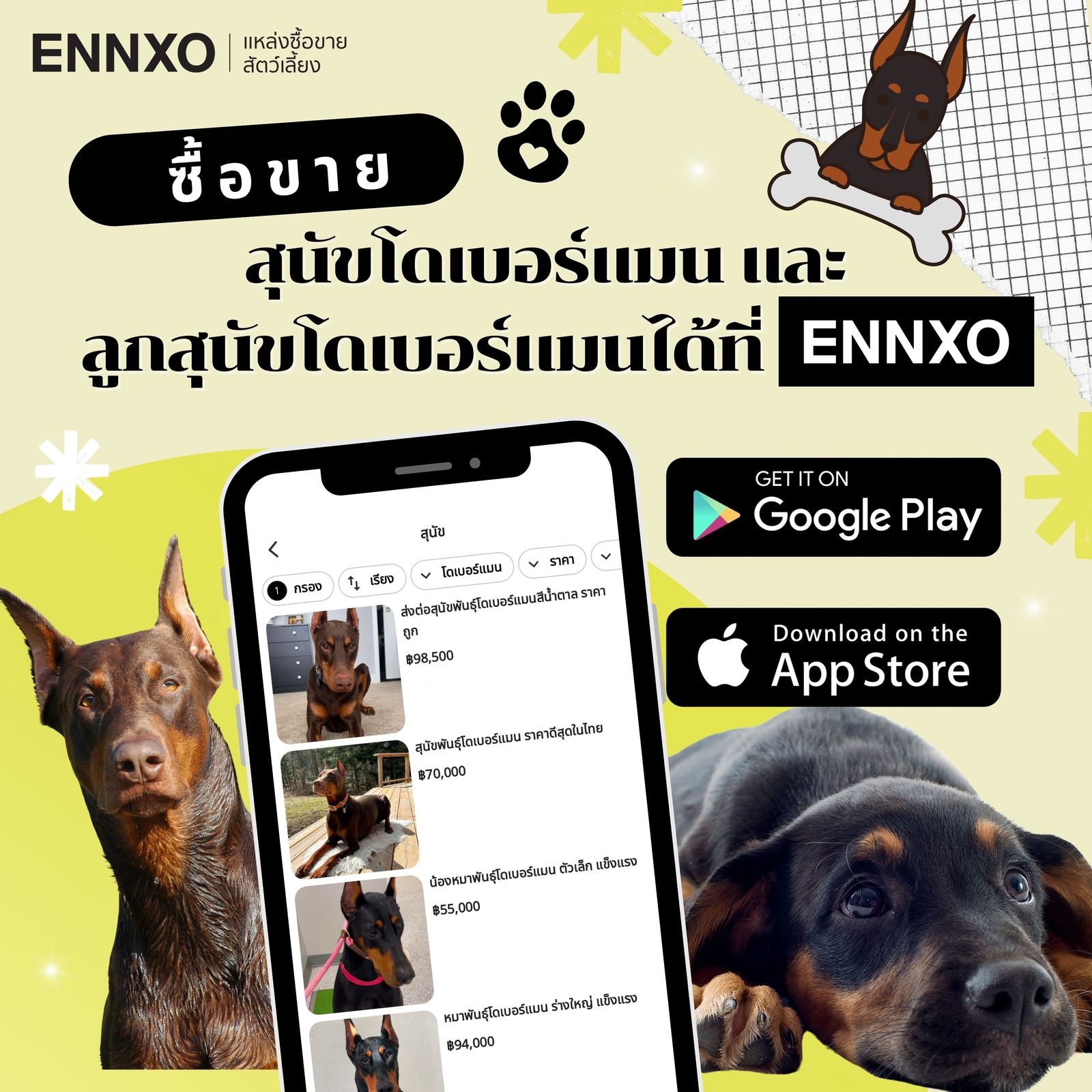 ENNXO ตลาดซื้อขายโดเบอร์แมน ราคาพิเศษออนไลน์