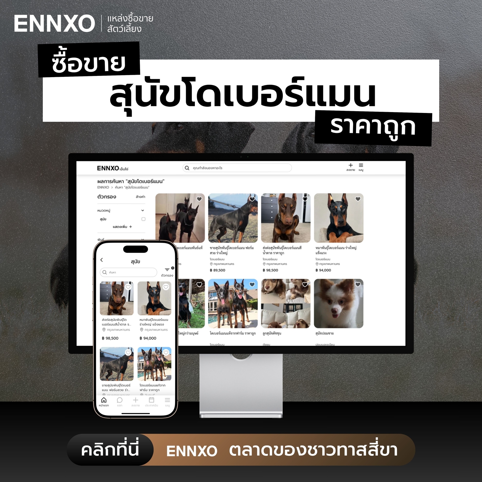 ซื้อขายสุนัขโดเบอร์แมนที่ ENNXO