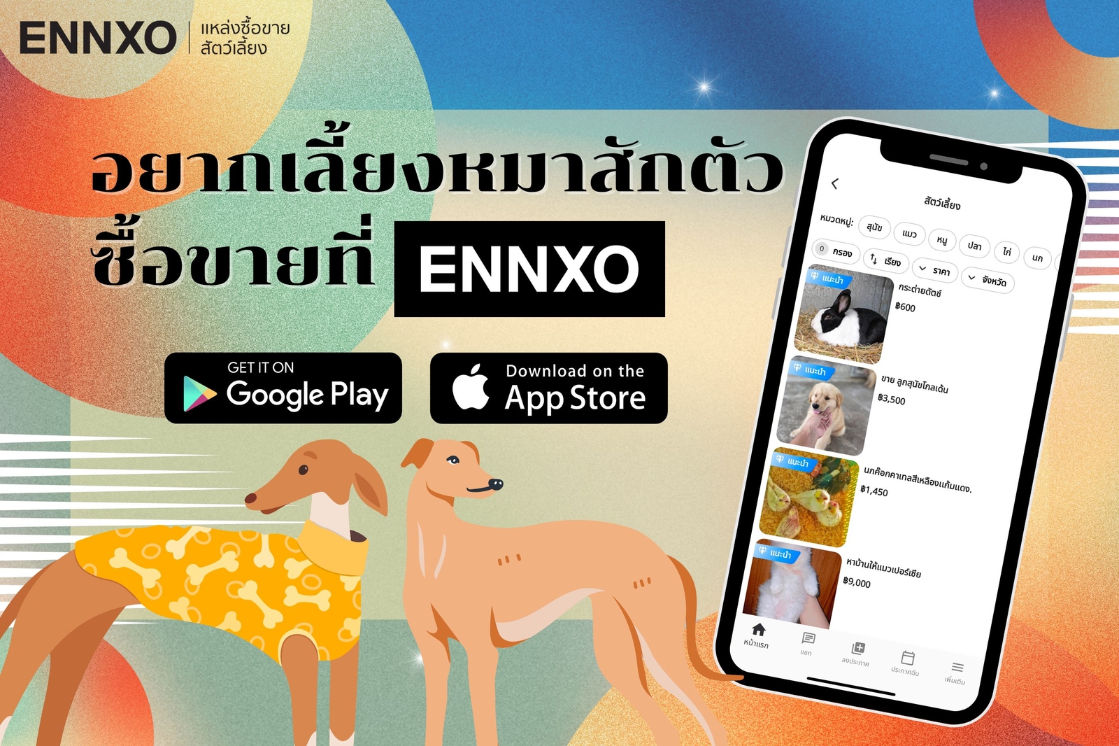 ENNXO ตลาดซื้อขายสุนัขออนไลน์