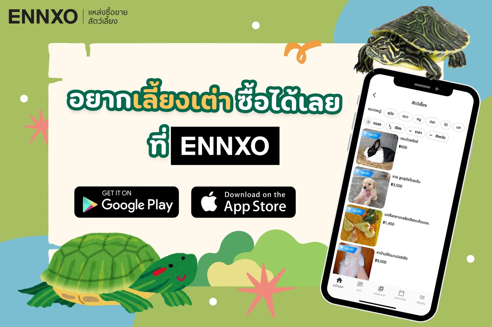 ENNXO ตลาดซื้อขายเต่าออนไลน์ 