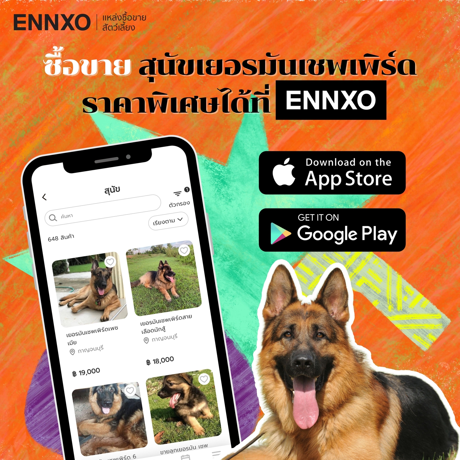 ENNXO ตลาดซื้อขายหมาเยอรมันเชพเพิร์ด ราคาถูกออนไลน์