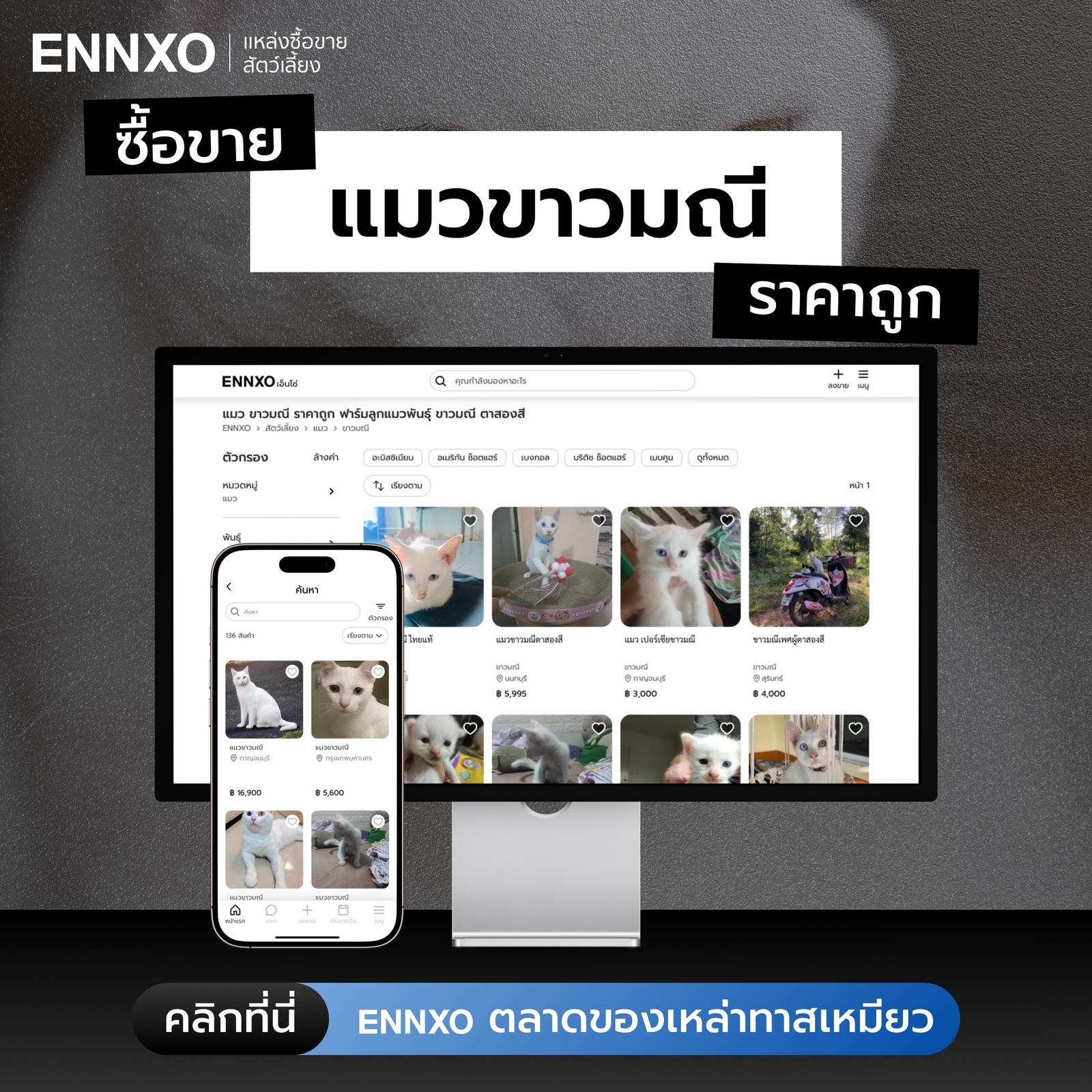 ENNXO ตลาดซื้อขายแมวขาวมณี