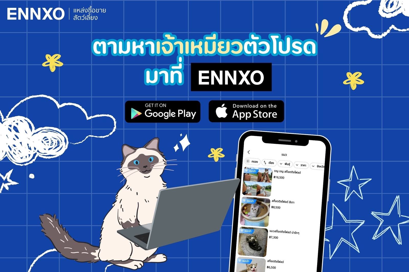 ซื้อขายแมวออนไลน์กับเอ็นโซ่ ENNXO