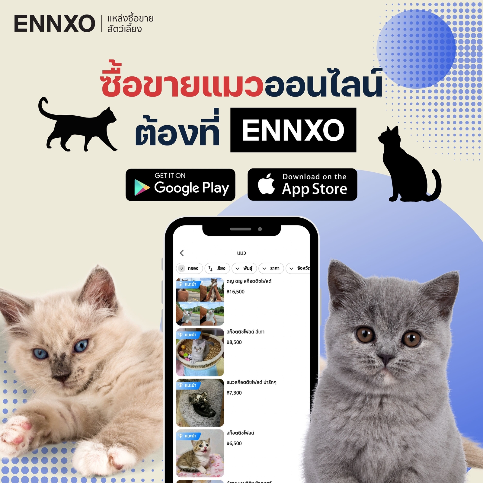 ENNXO ตลาดซื้อขายแมวออนไลน์ ราคาถูก