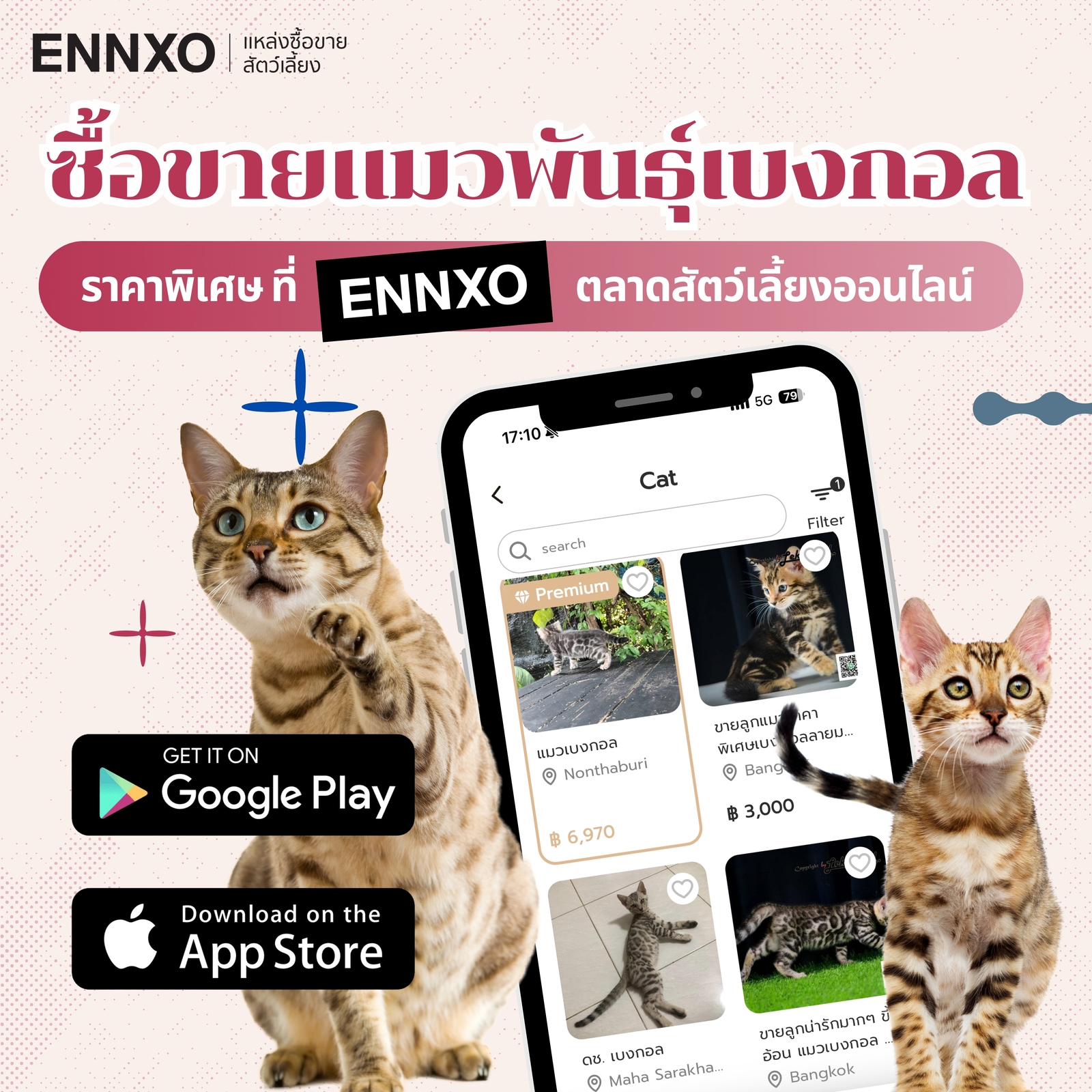 ENNXO ตลาดสัตว์เลี้ยงออนไลน์