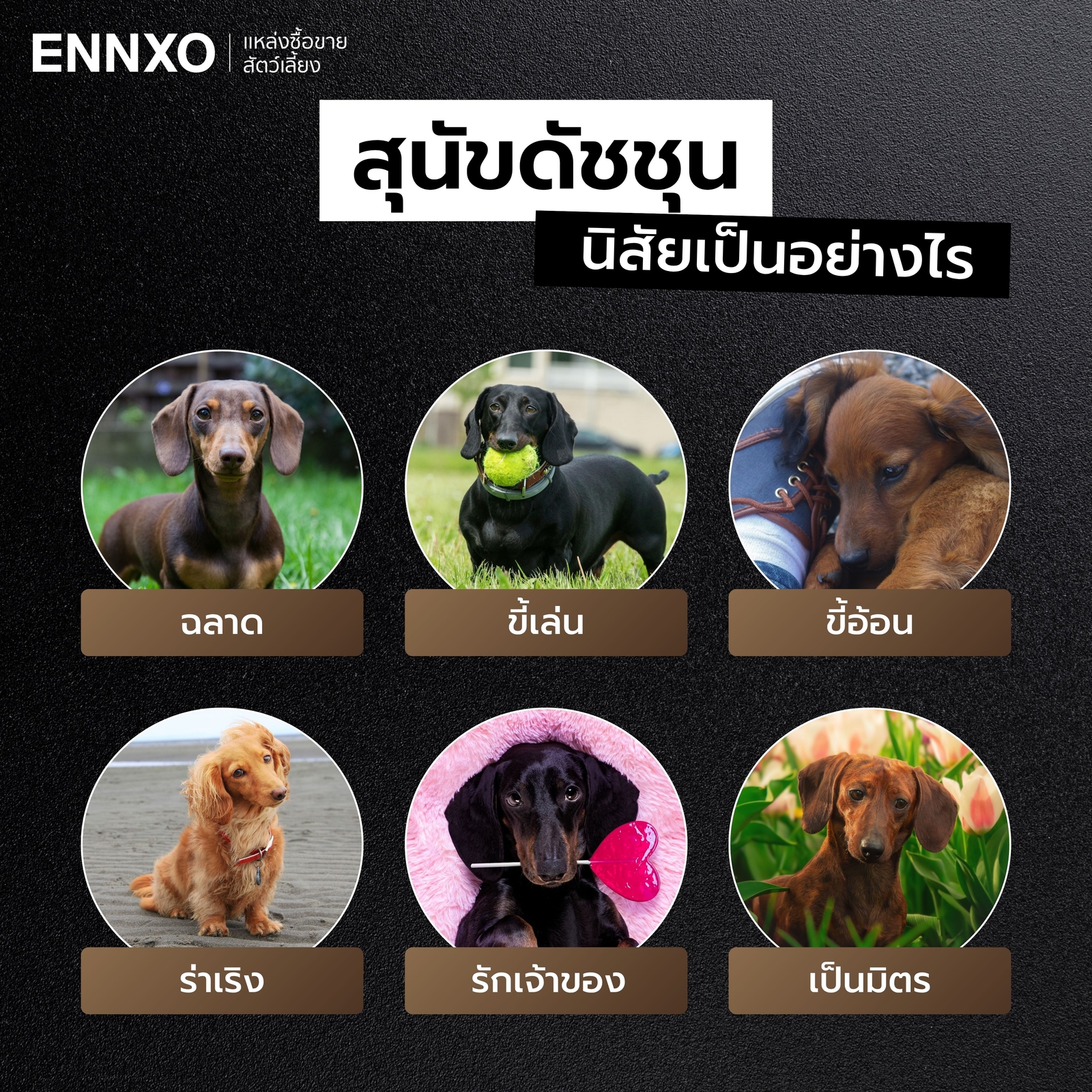 ดัชชุน นิสัย