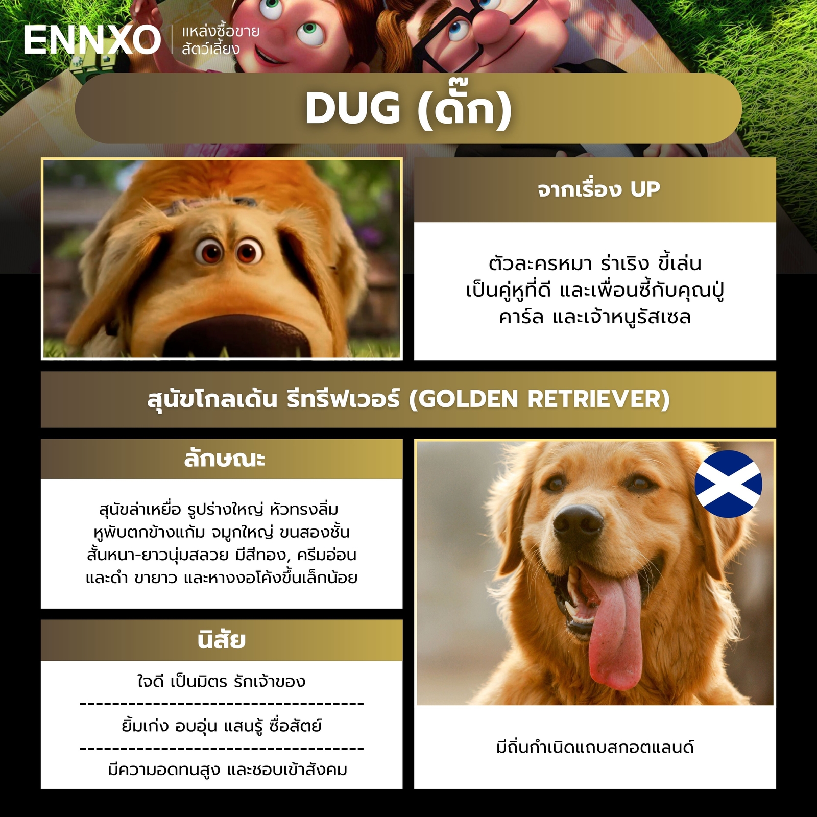 ดั๊ก ตัวละครหมาดิสนีย์จากเรื่อง Up