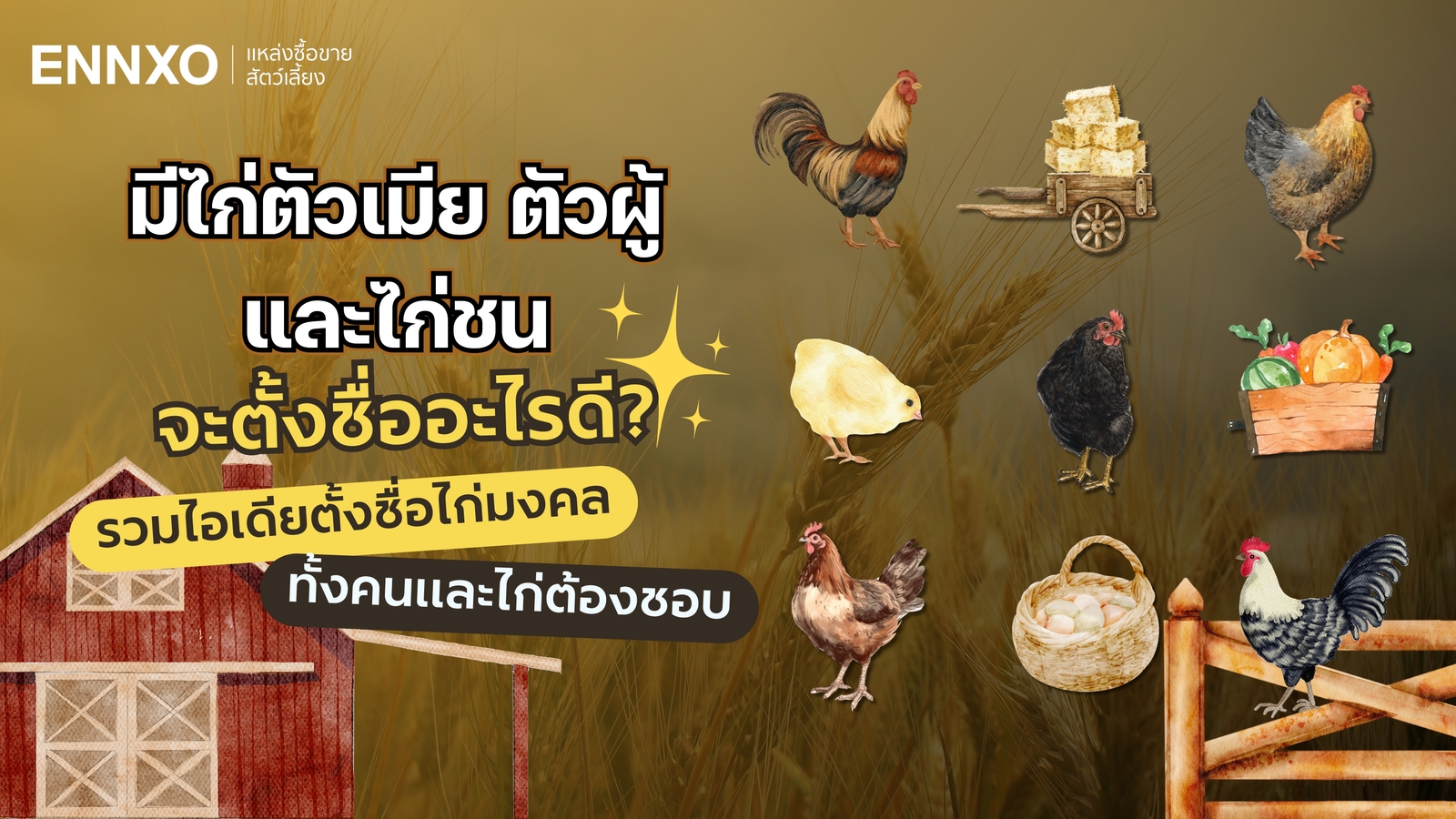 ตั้งชื่อไก่ตัวผู้ ตัวเมีย มงคล ไก่ชนเรียกทรัพย์ และชื่อซุ้มไก่เท่ๆ