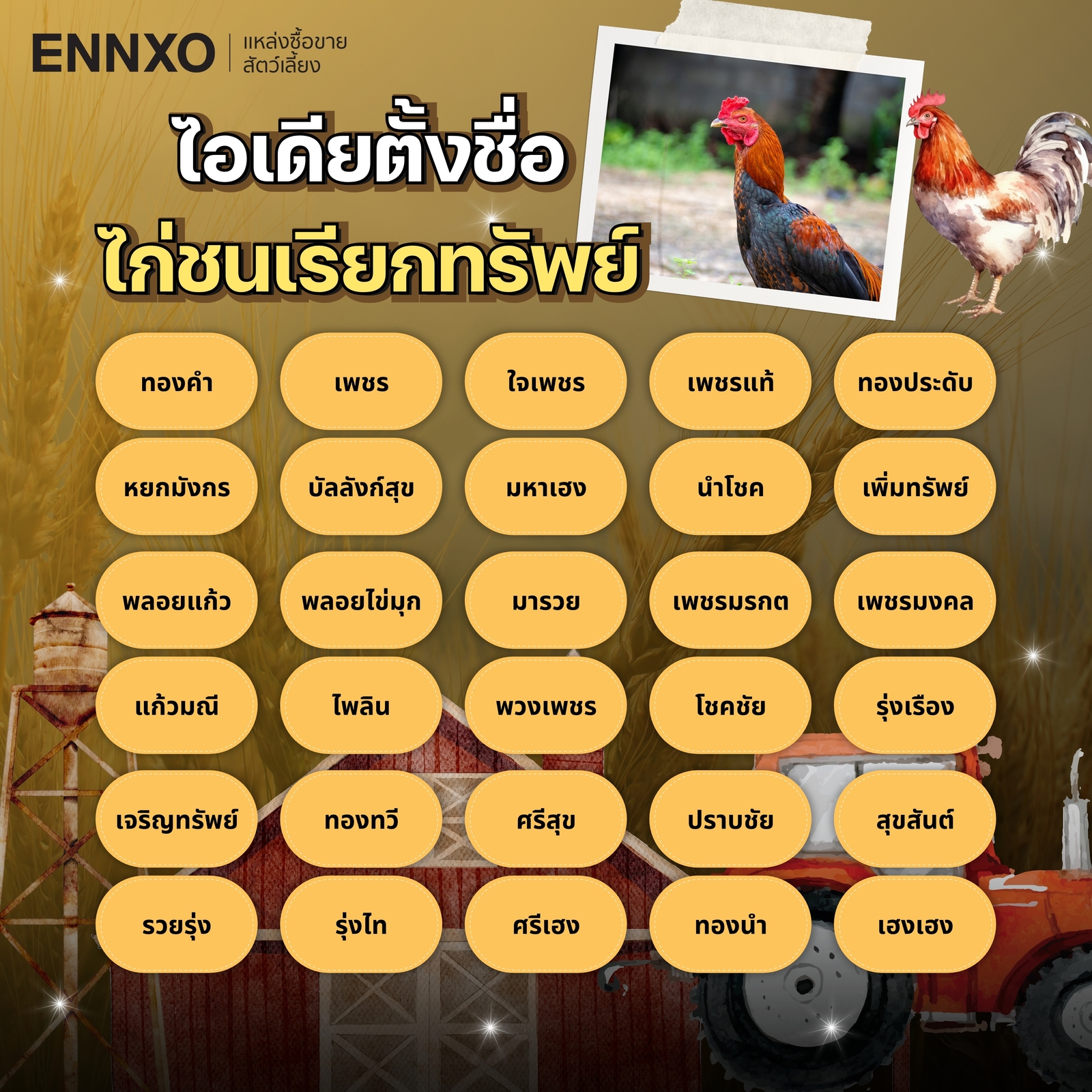 รวมไอเดียตั้งชื่อไก่ชน