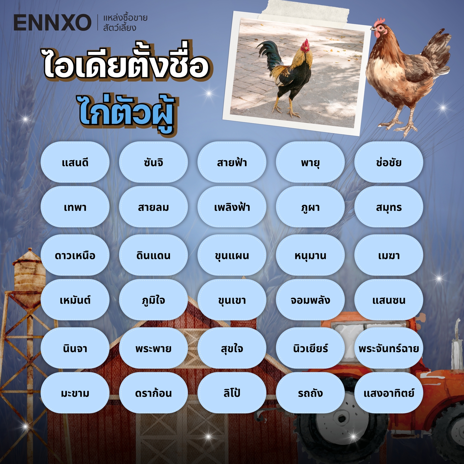 รวมไอเดียตั้งชื่อไก่ชน