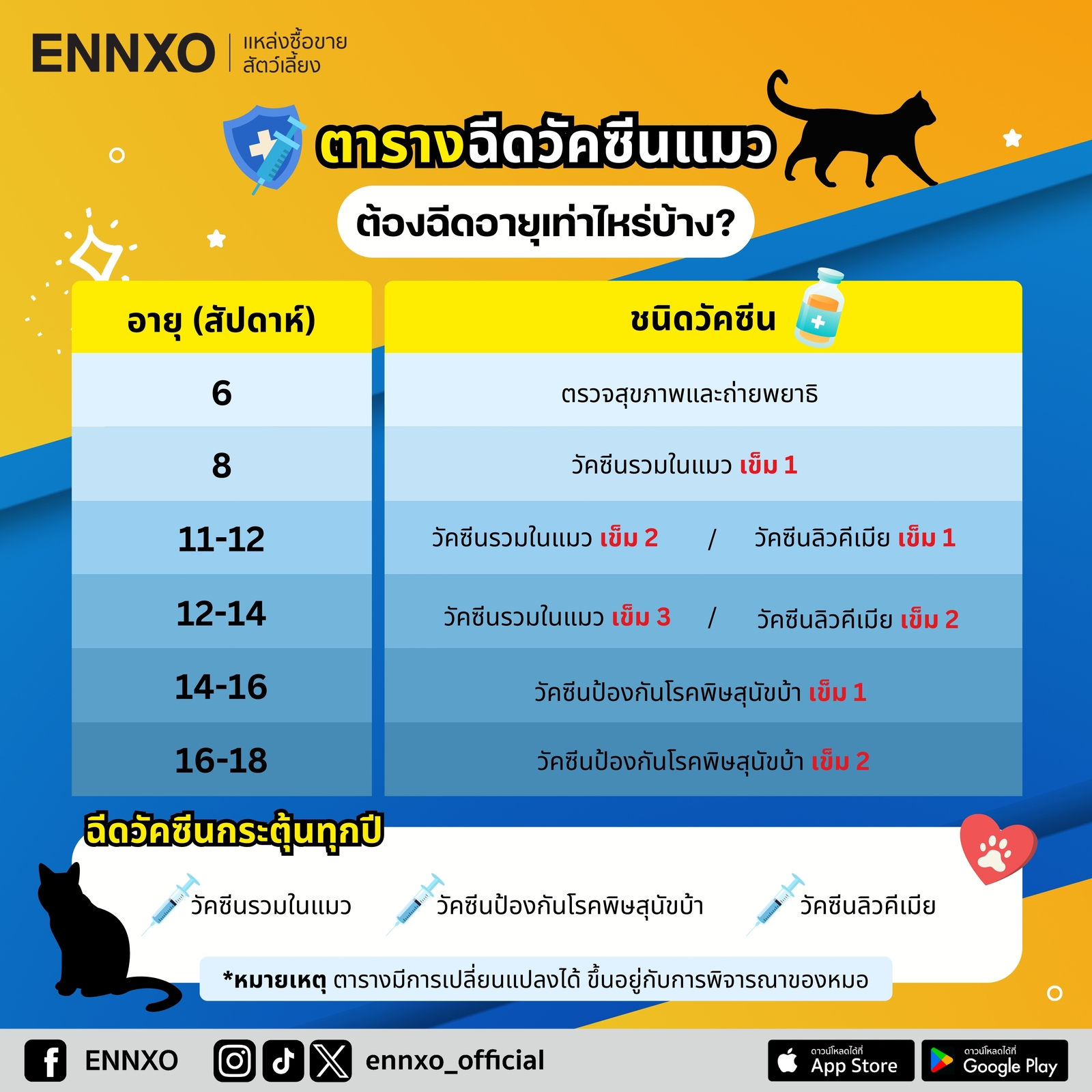 ตารางฉีดวัคซีนแมว