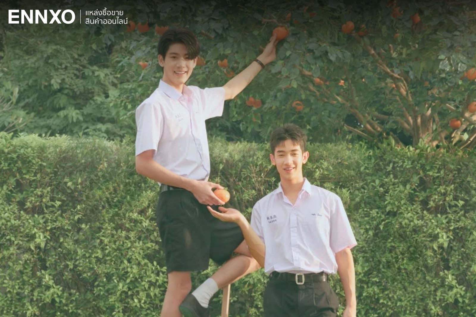 ต้นส้มบ้านเขา-แต่ผลส้มหล่นมาบ้านเราตลอดเลย-when-oranges-fall