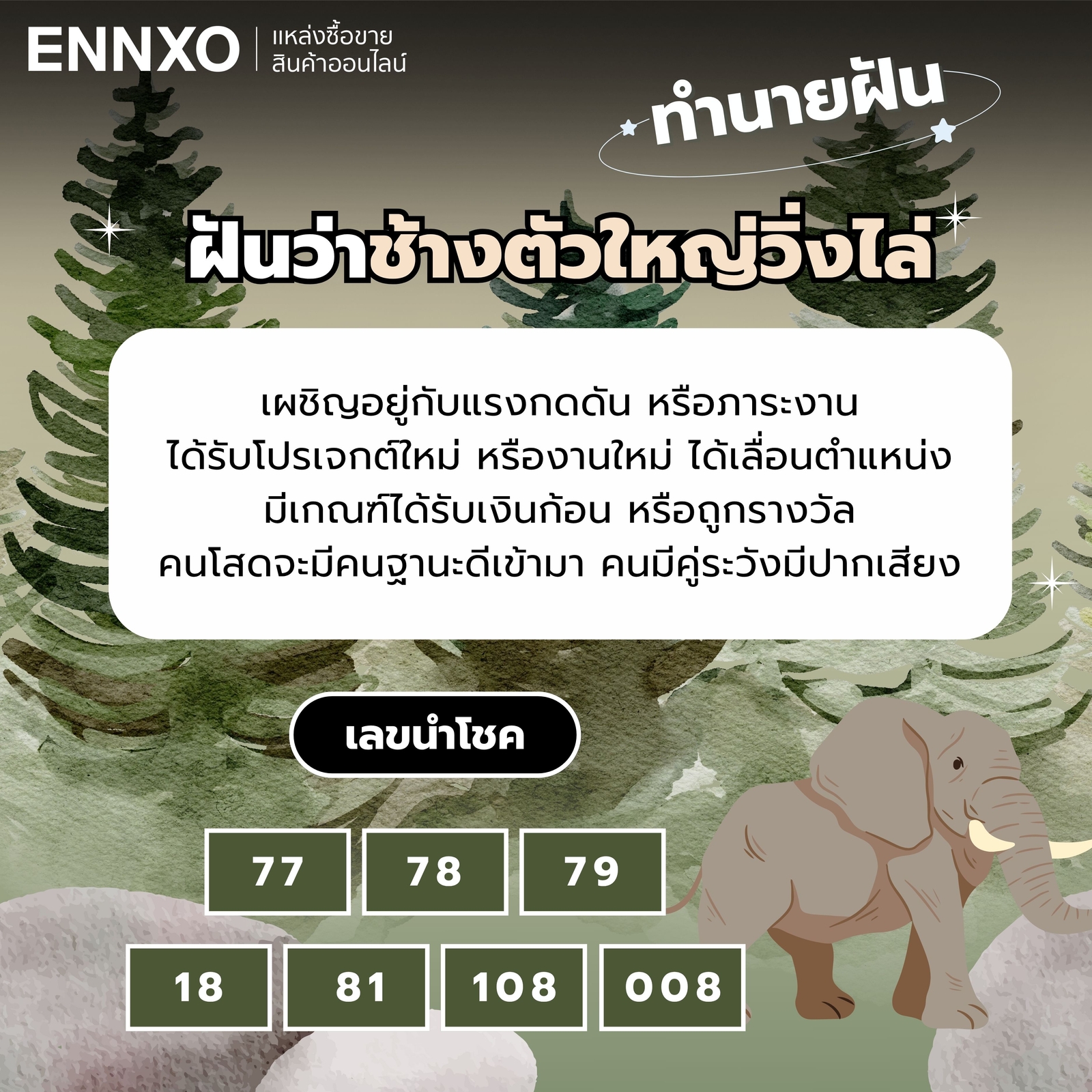 ทำนายฝัน ฝันว่าช้างตัวใหญ่วิ่งไล่ เลขเด็ด