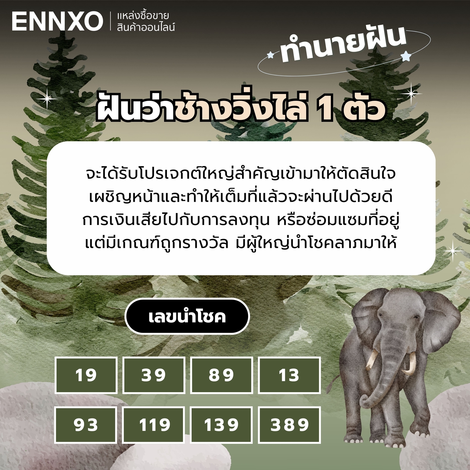 ทำนายฝัน ฝันว่าช้างวิ่งไล่ 1 ตัว เลขเด็ด
