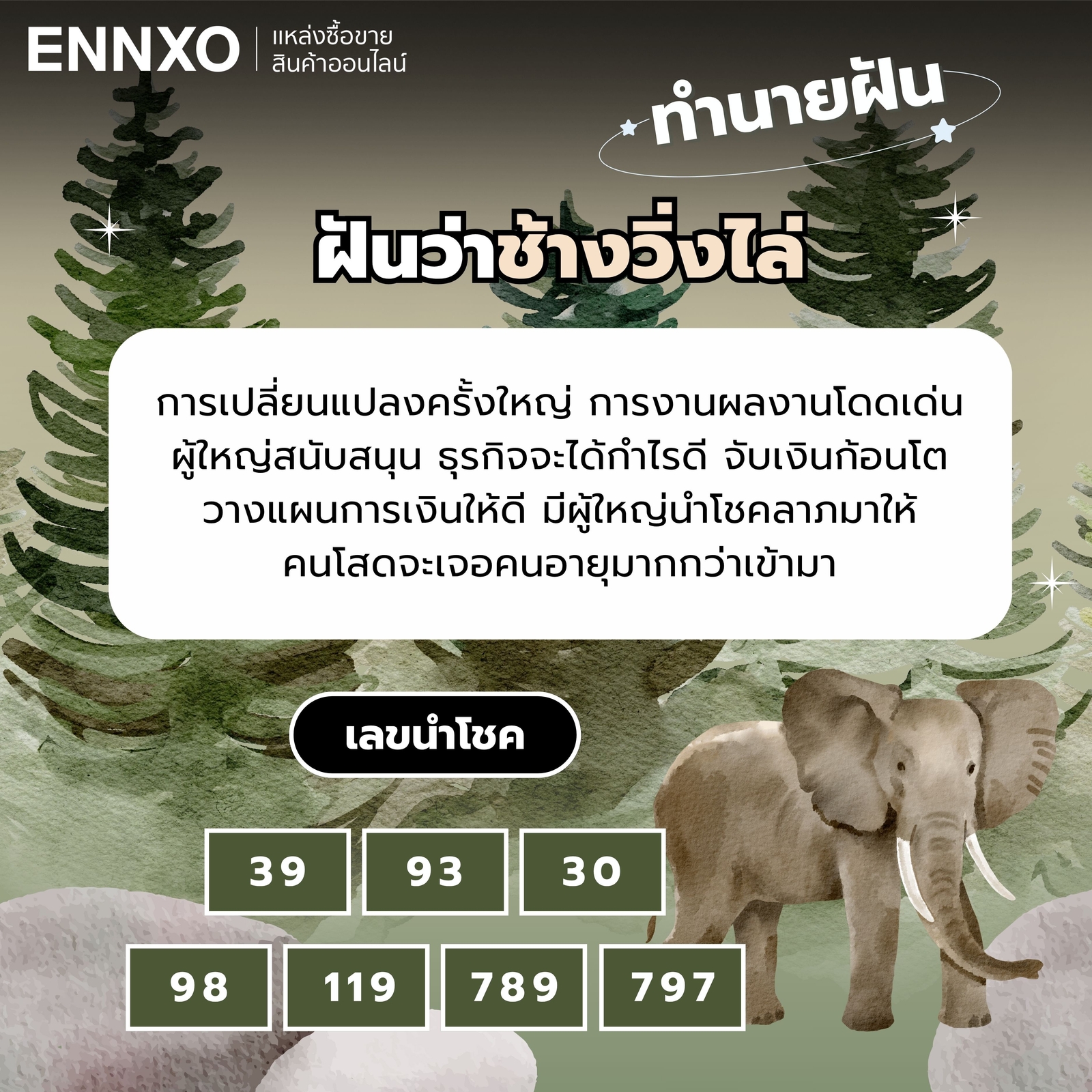 ทำนายฝัน ฝันว่าช้างวิ่งไล่ เลขเด็ด