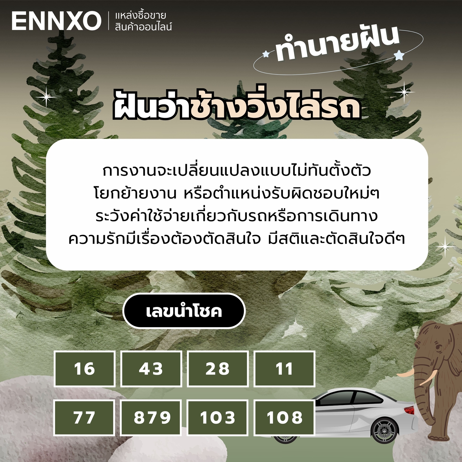 ทำนายฝัน ฝันว่าช้างวิ่งไล่รถ เลขเด็ด